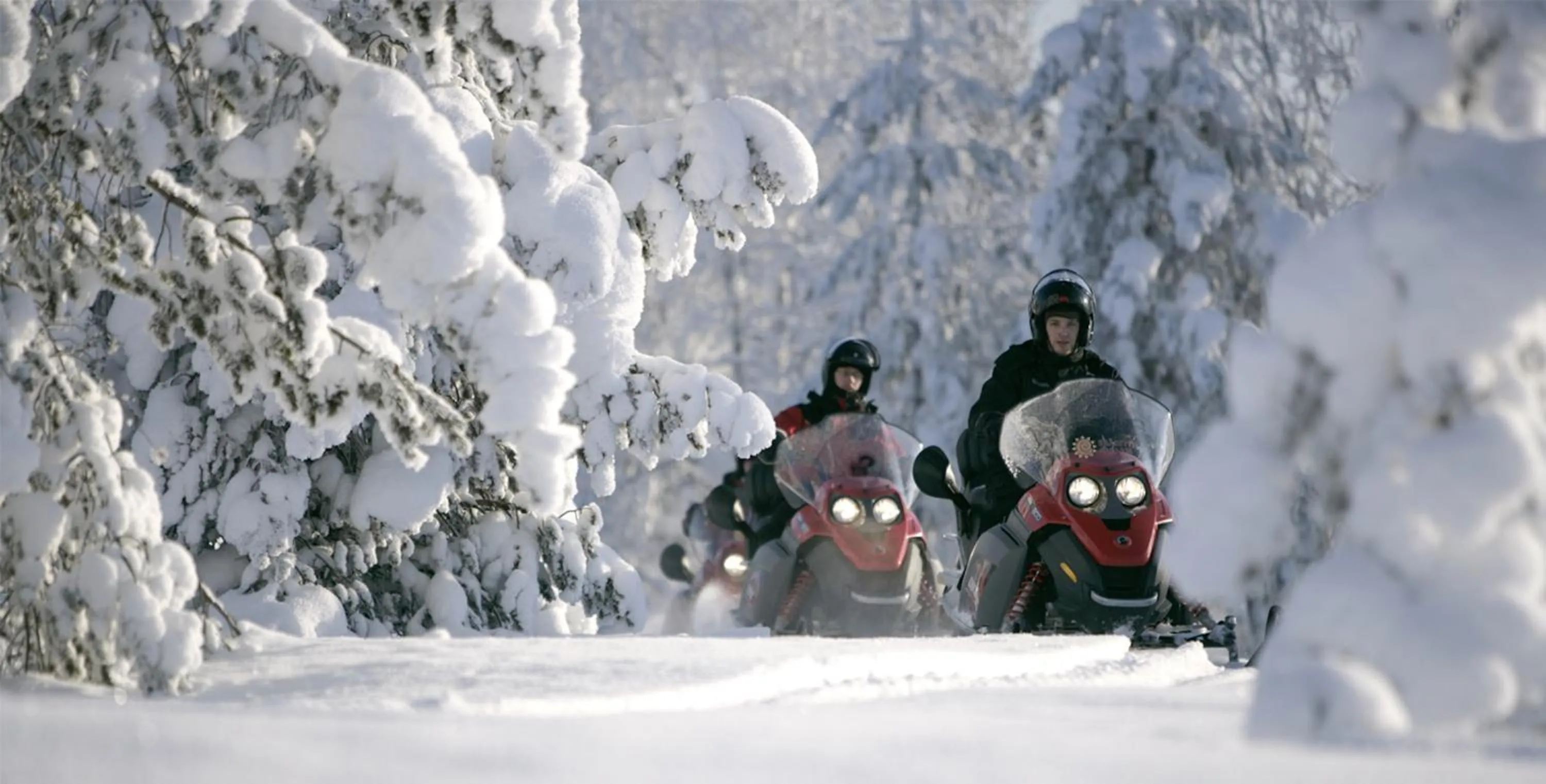 Entertainment in Arctic Light Hotel