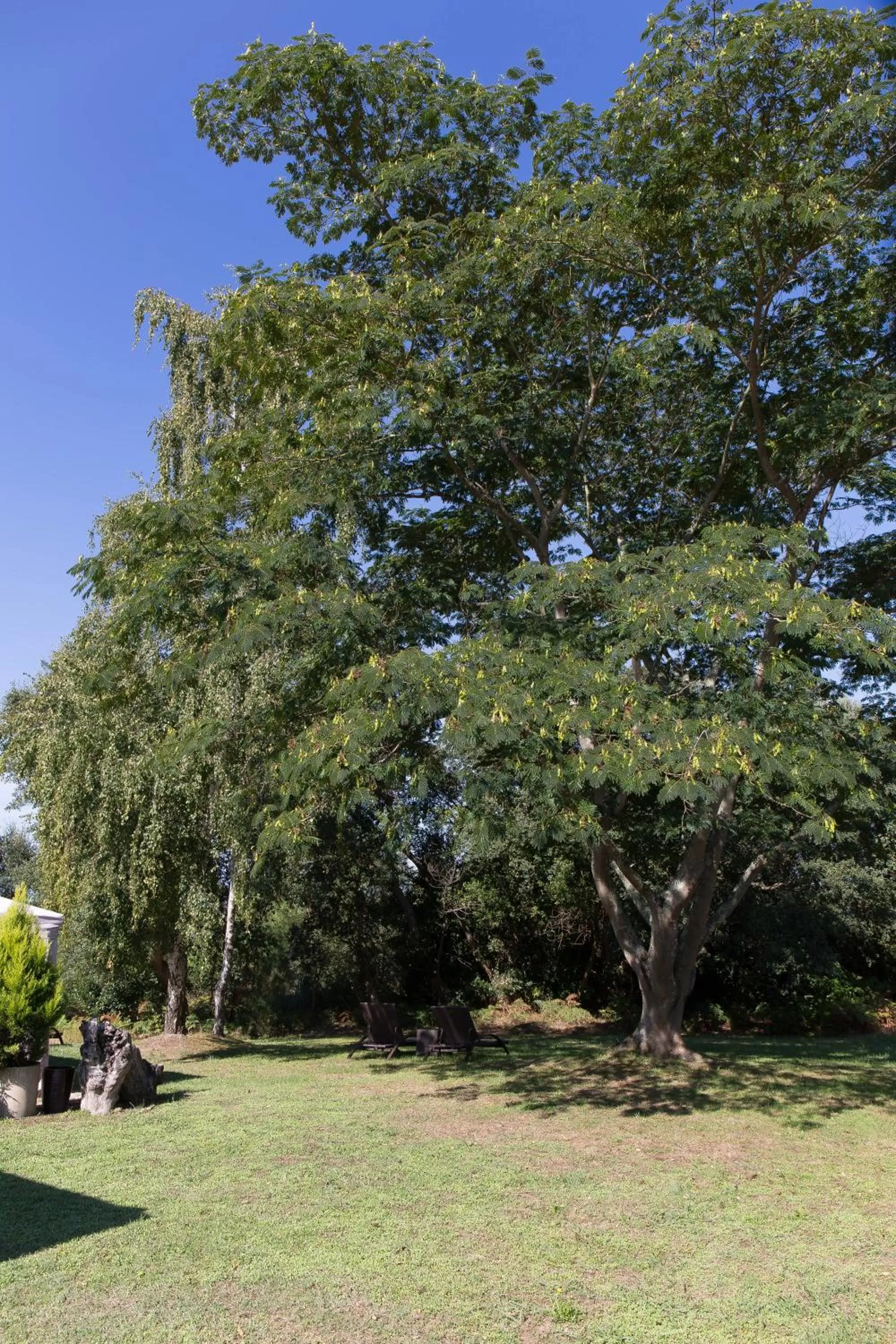 Natural landscape in The Originals City, Hôtel Le Lodge, Ondres, Bayonne Nord