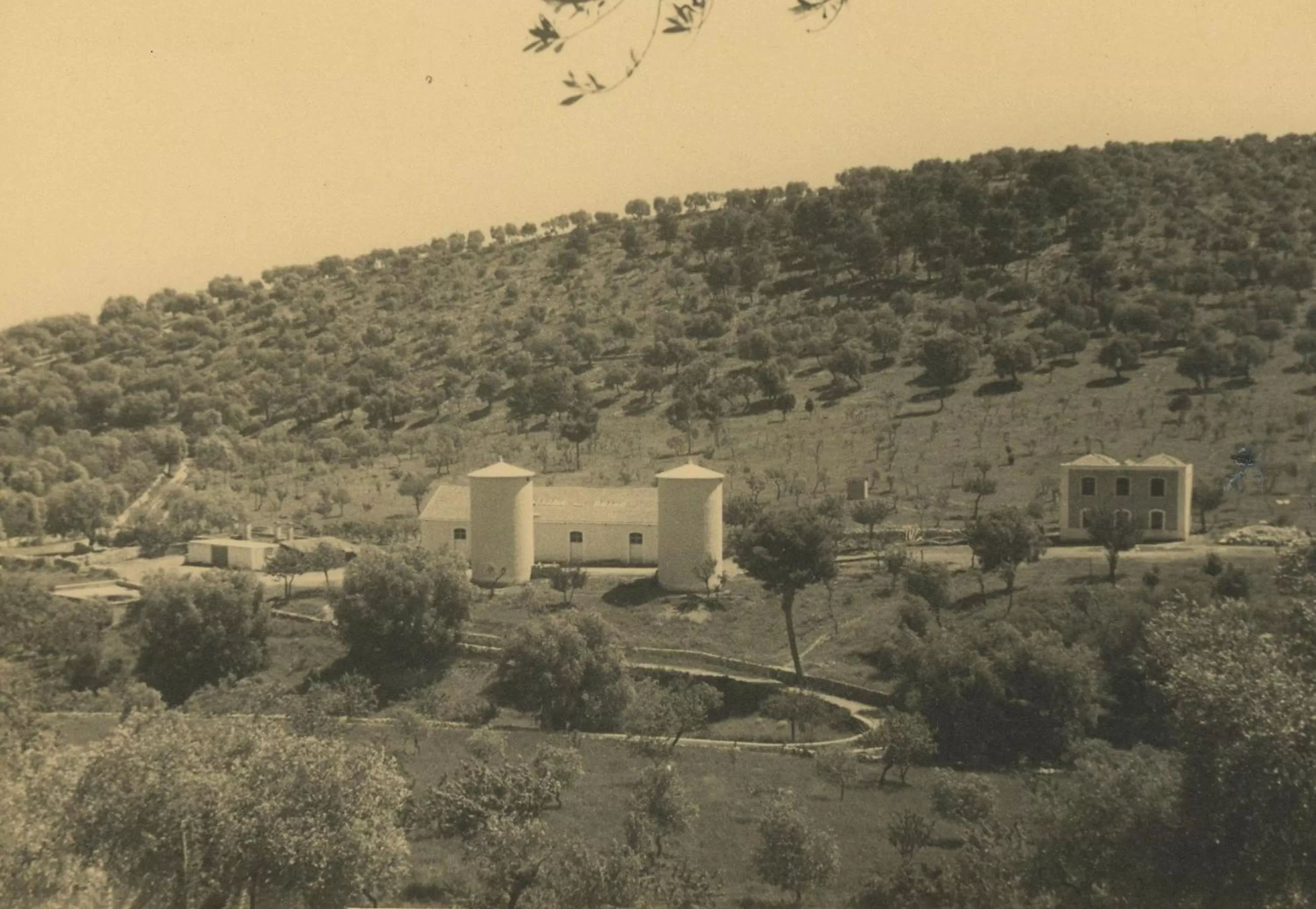 Hiking in Rocca Sul Mare Hotel