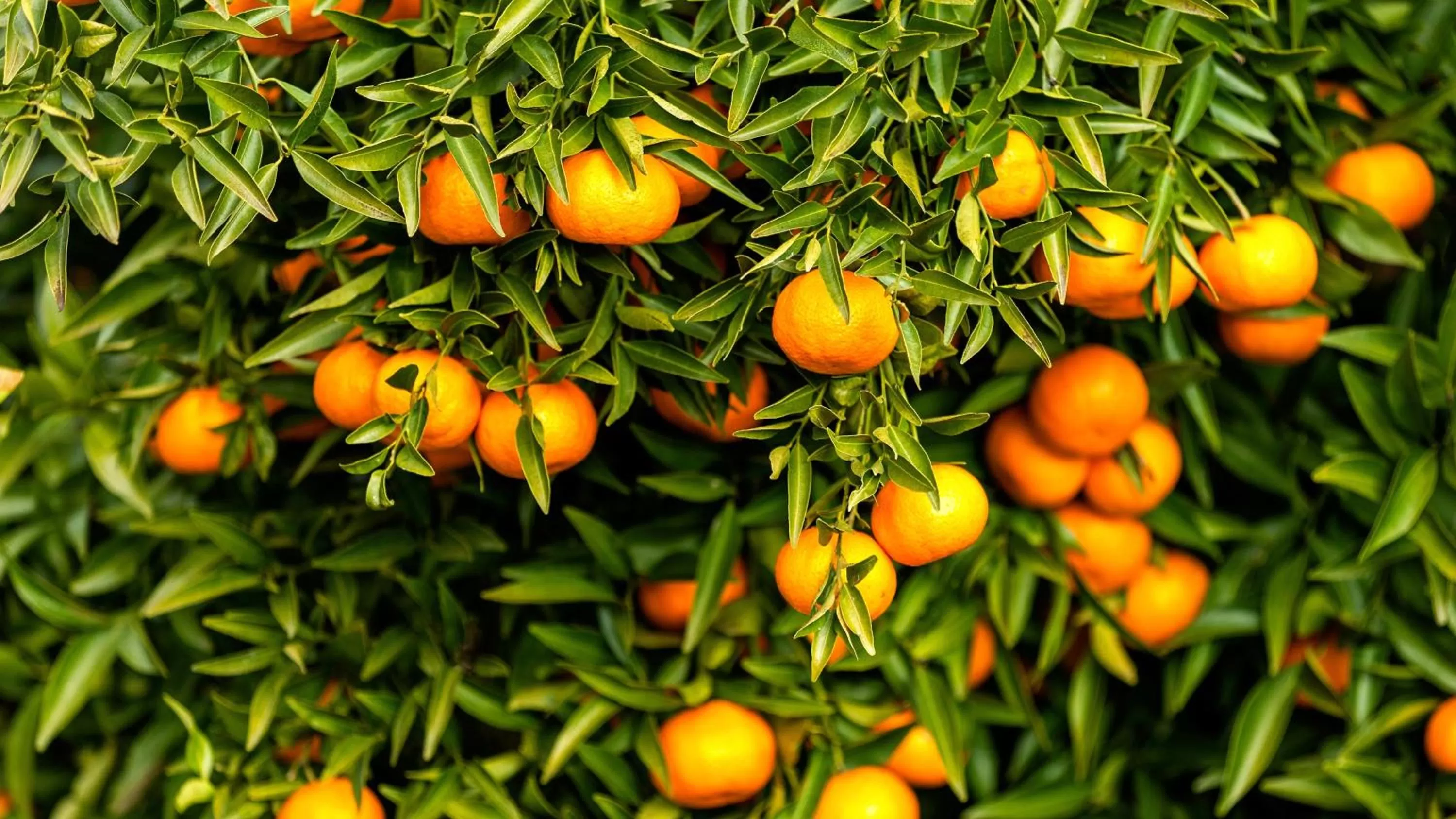 Off site in Douro Palace Hotel Resort & SPA