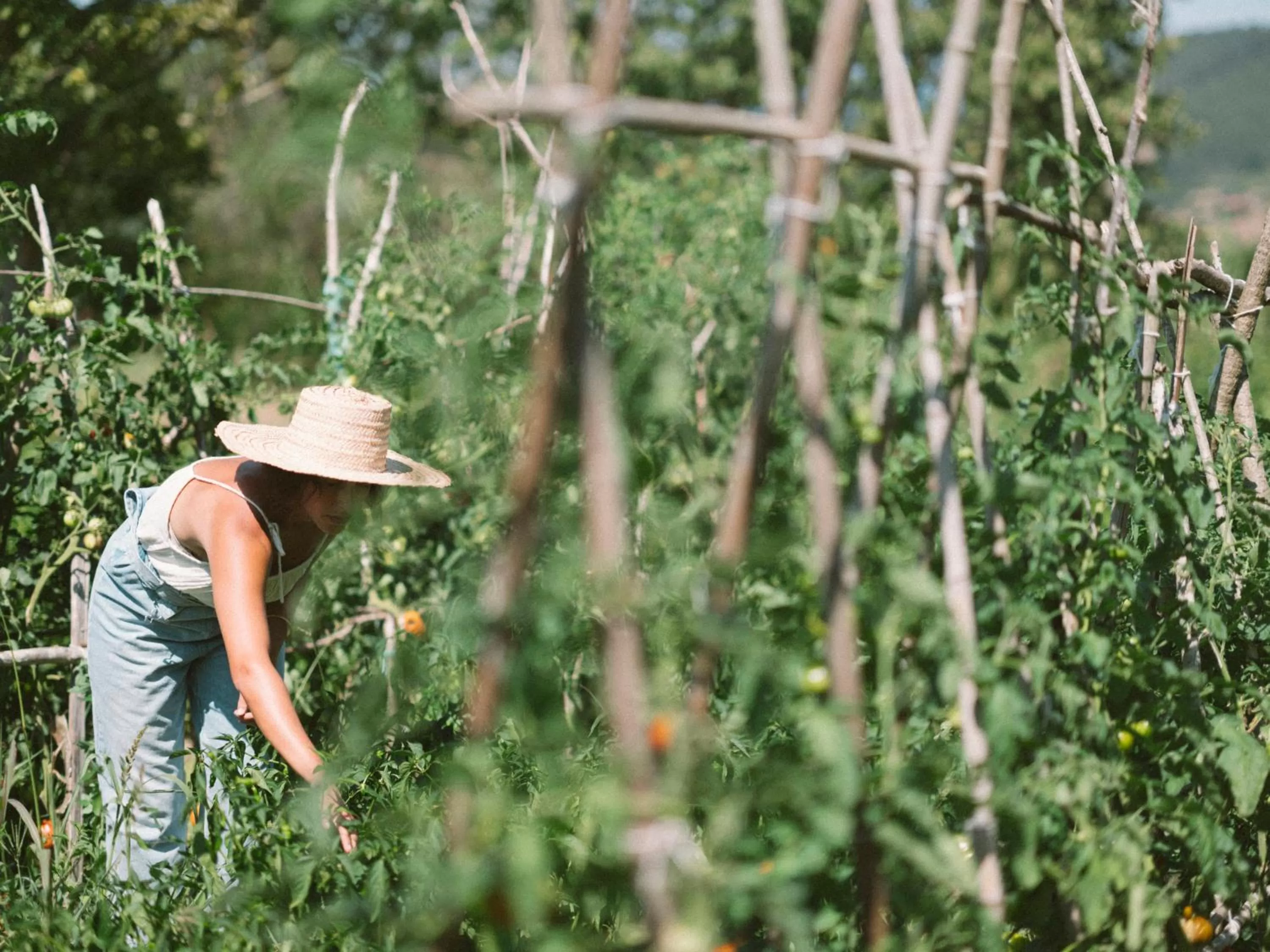 Hotel Nafarrola - Gastronomy & Wine