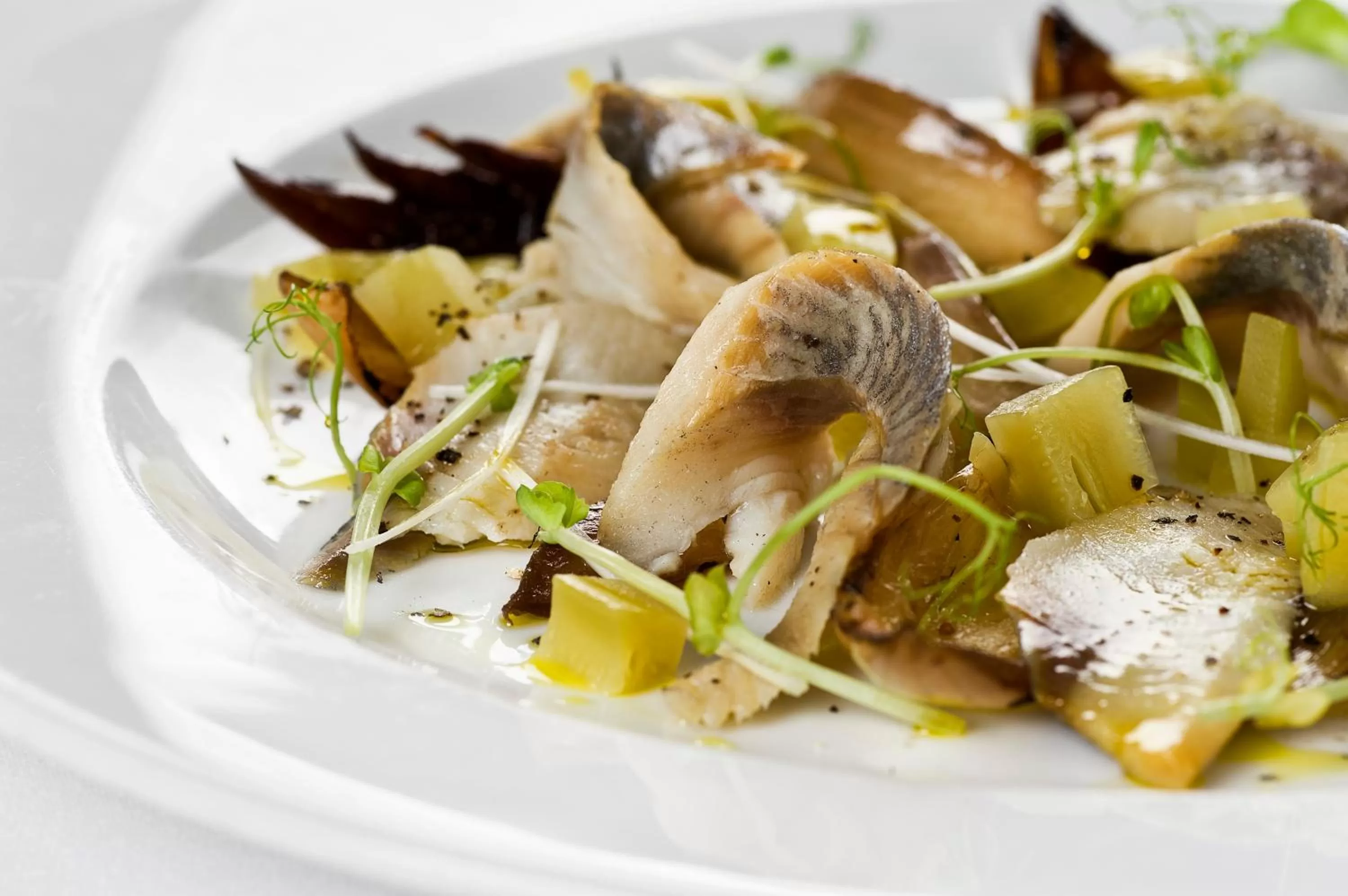 Food close-up in Hotel Villa Baltica