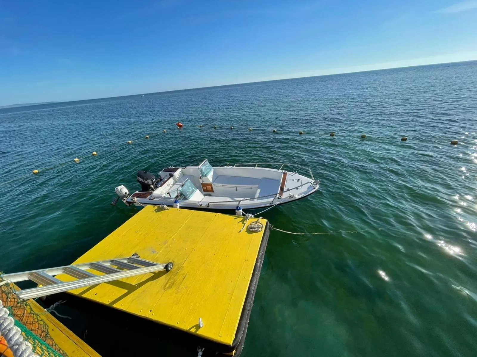 Activities in Aragosta Hotel