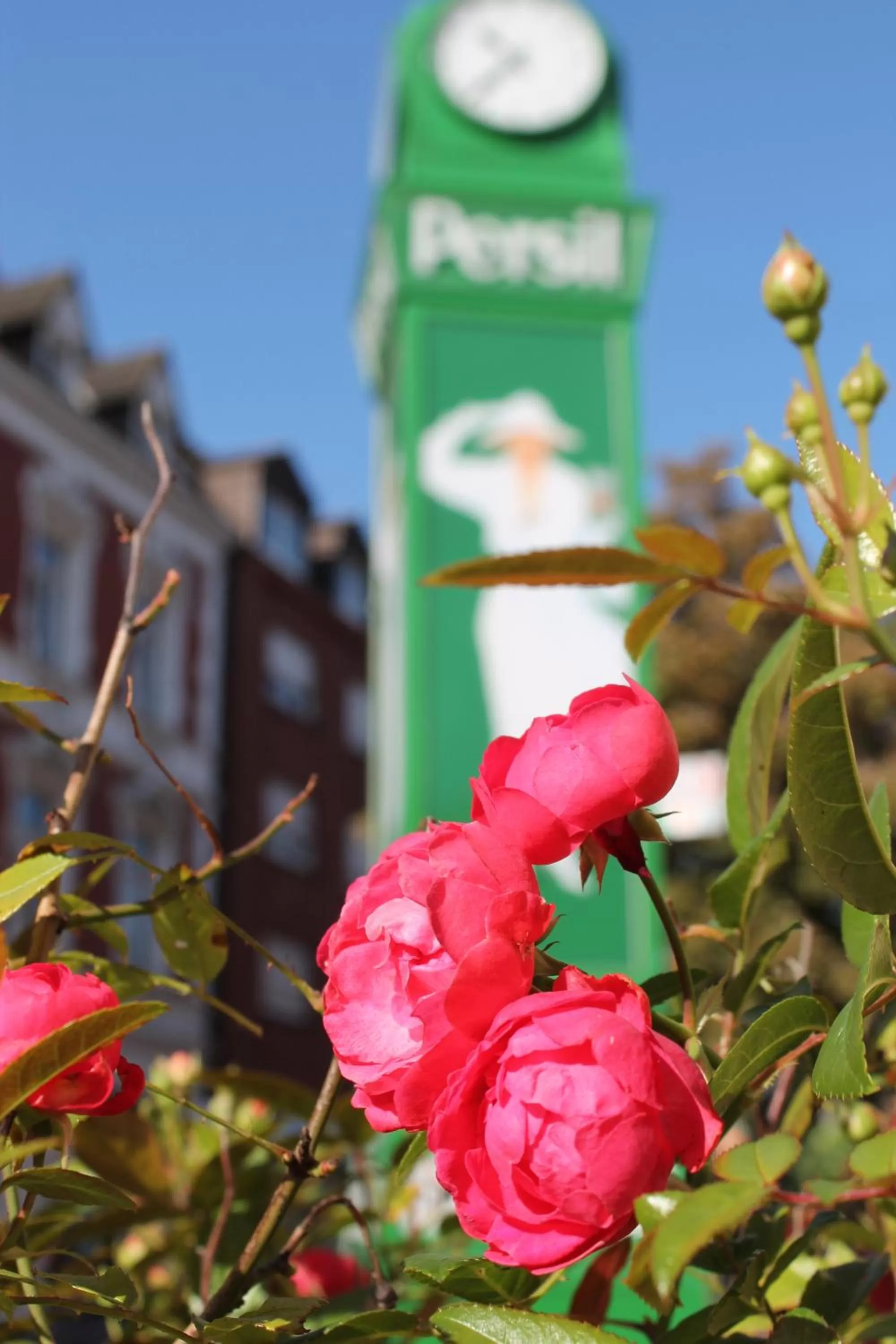 Decorative detail in An der Persiluhr Stadt-gut-Hotel