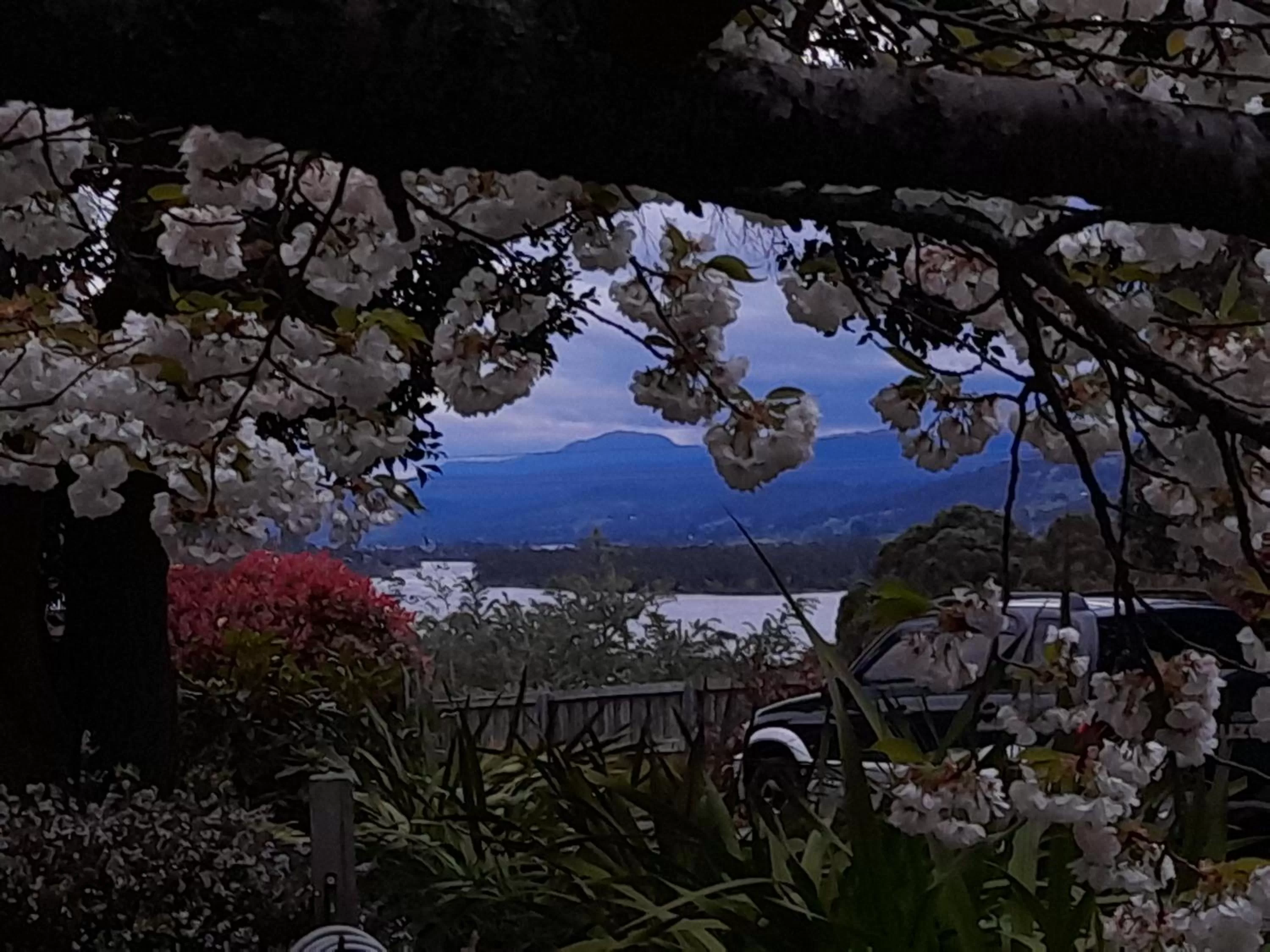 Hillside Bed and Breakfast