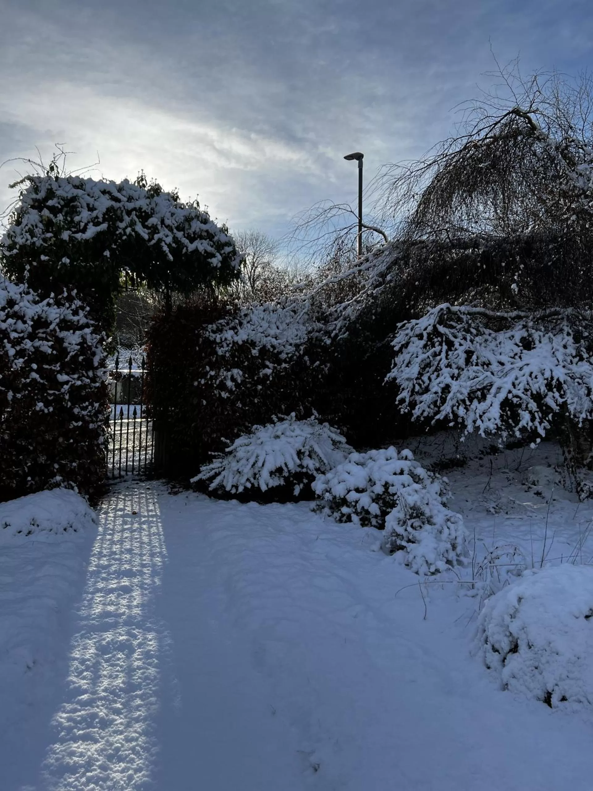 Garden, Winter in St Duthus Villa Guesthouse