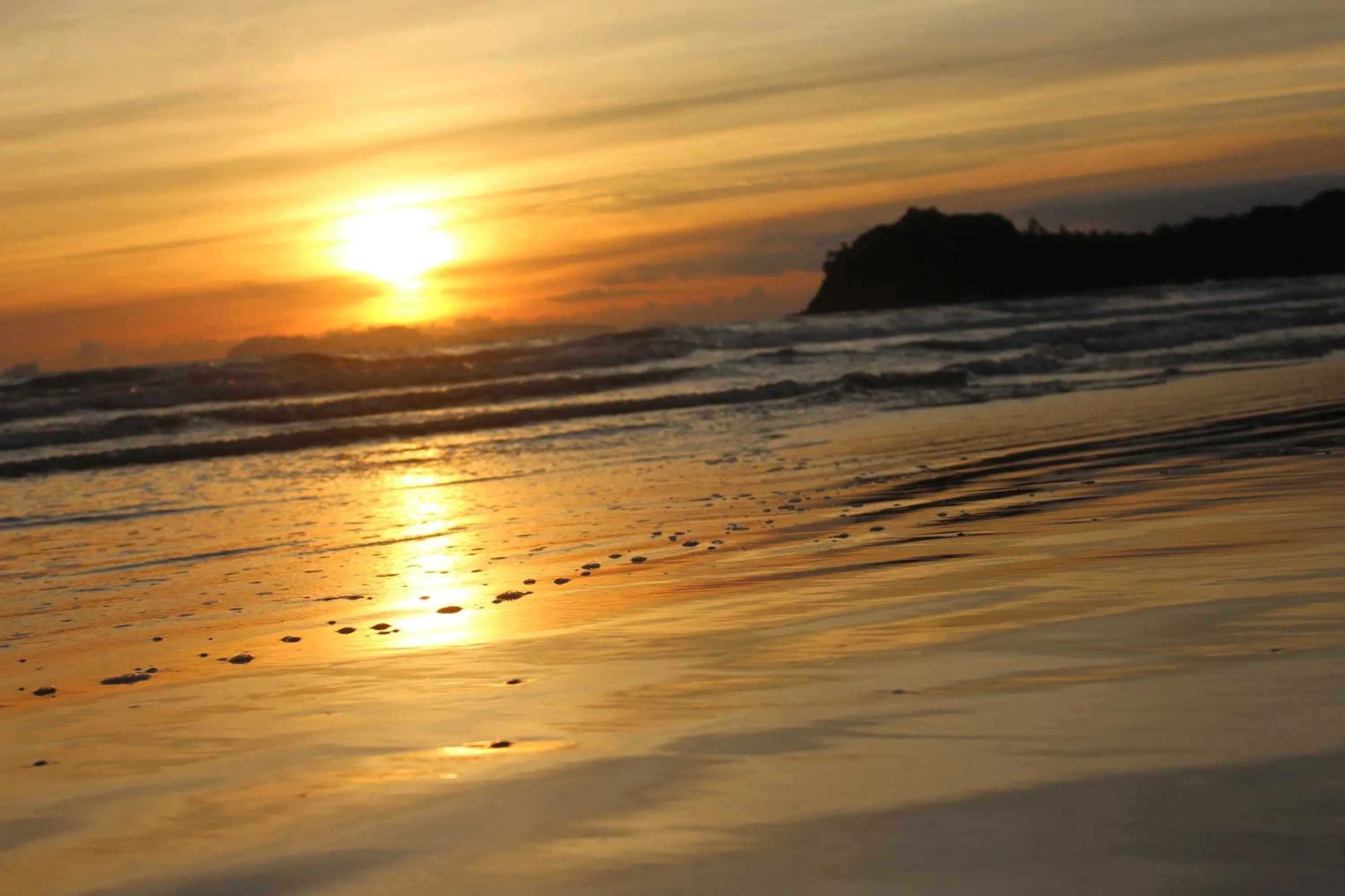 Summer in Golden Bay Cottage - SHA Extra Plus