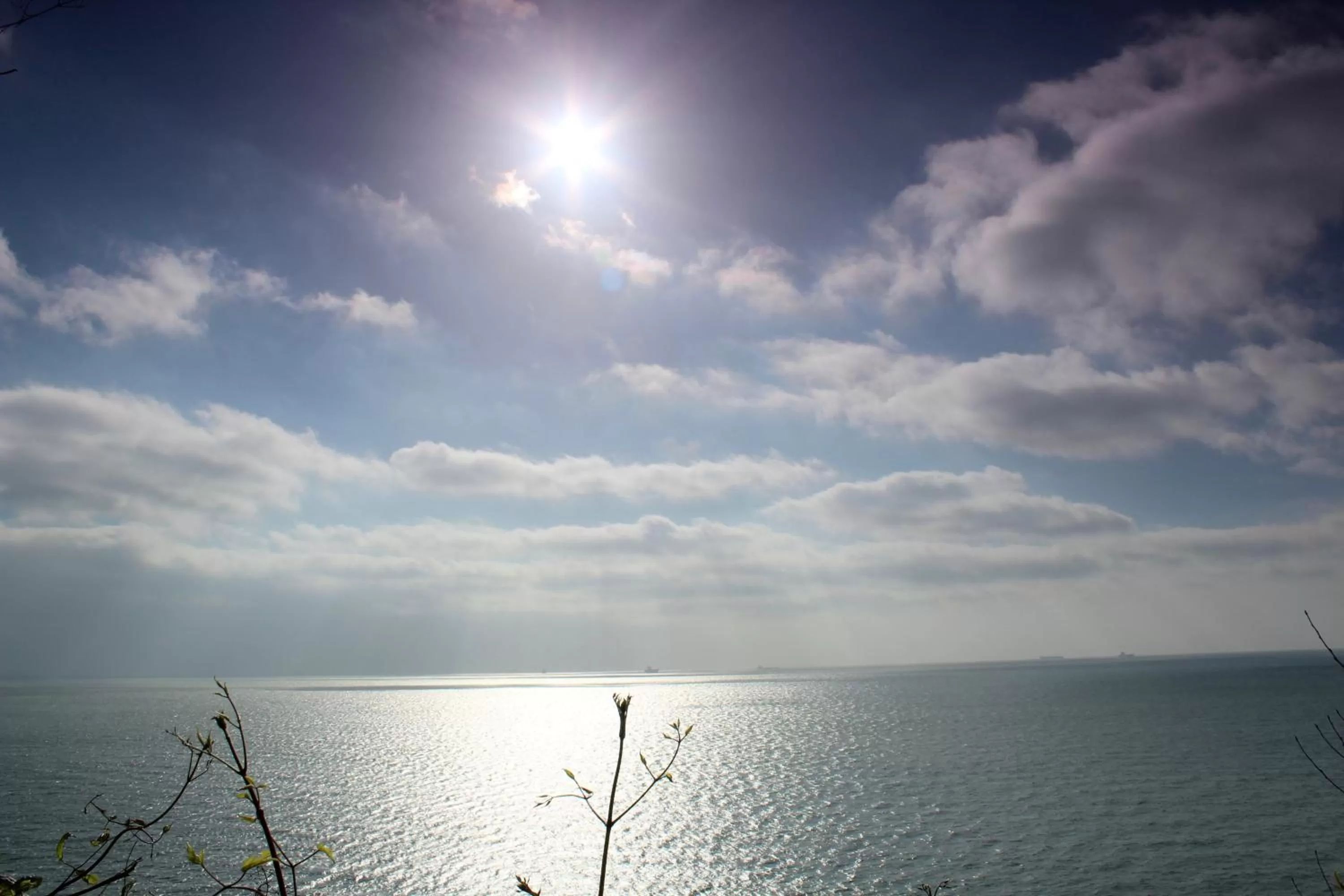 Sea view in Luccombe Hall Hotel