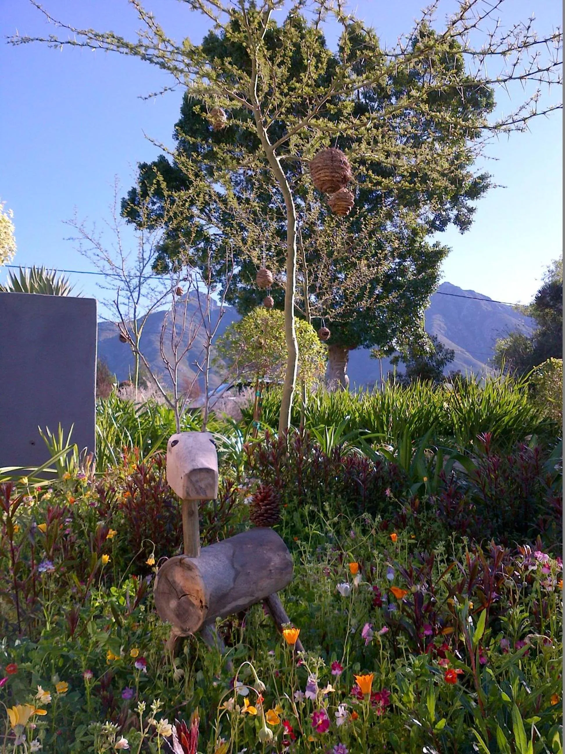 Garden in A Hilltop Country Retreat