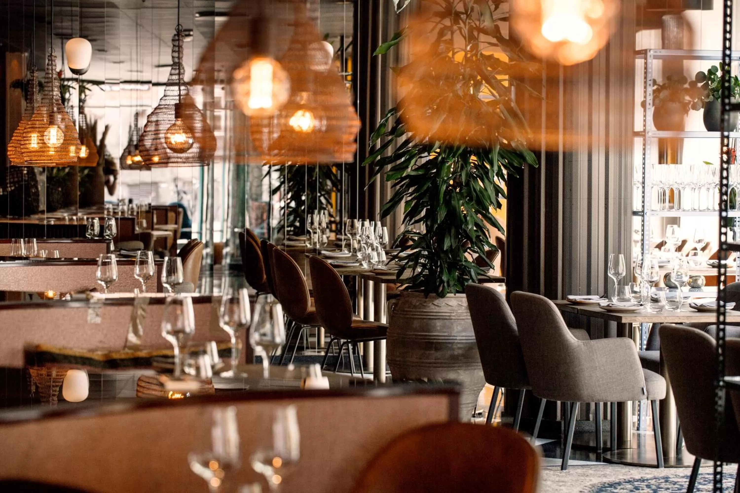 Restaurant/Places to Eat in Hotel Skt Petri