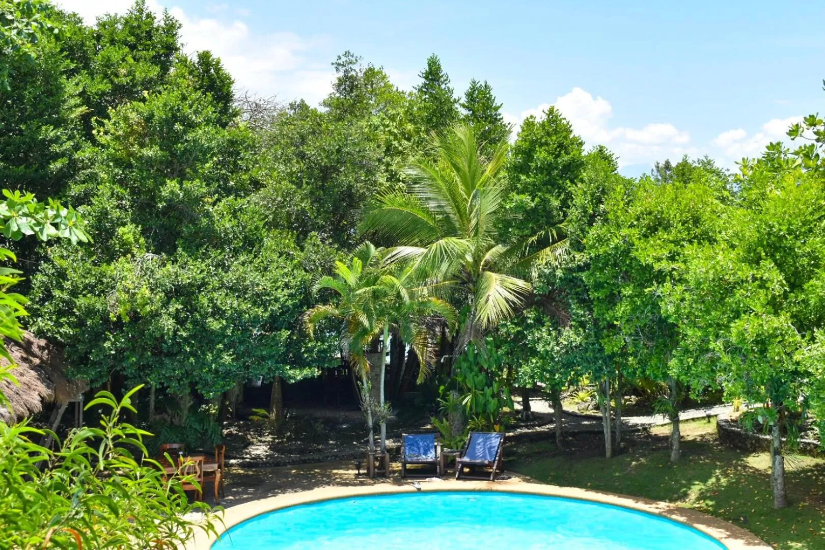 Double Room with Pool View in The Blue Orchid Resort
