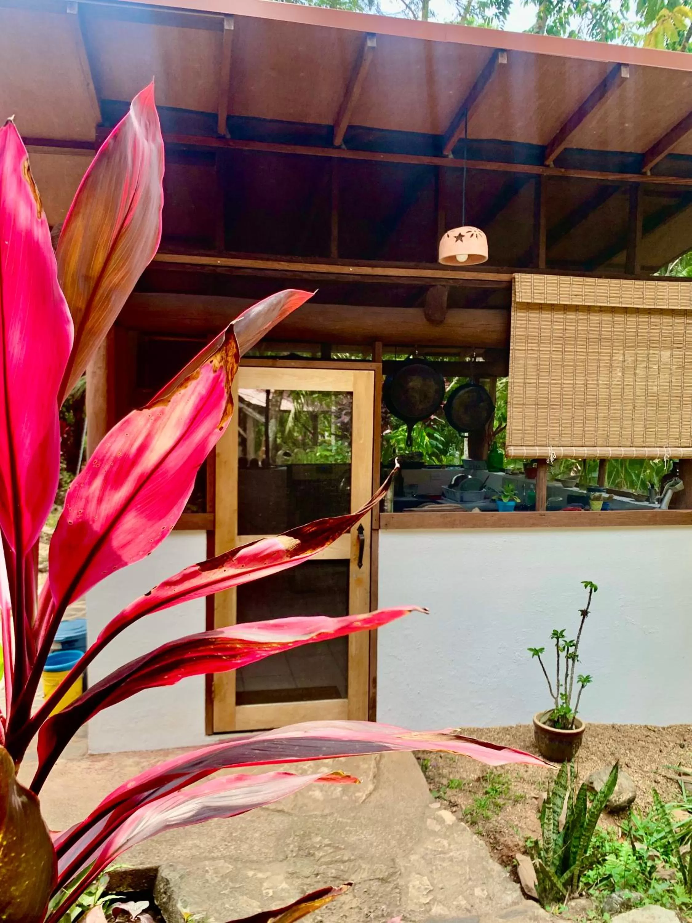 Kitchen or kitchenette in Sattva Land