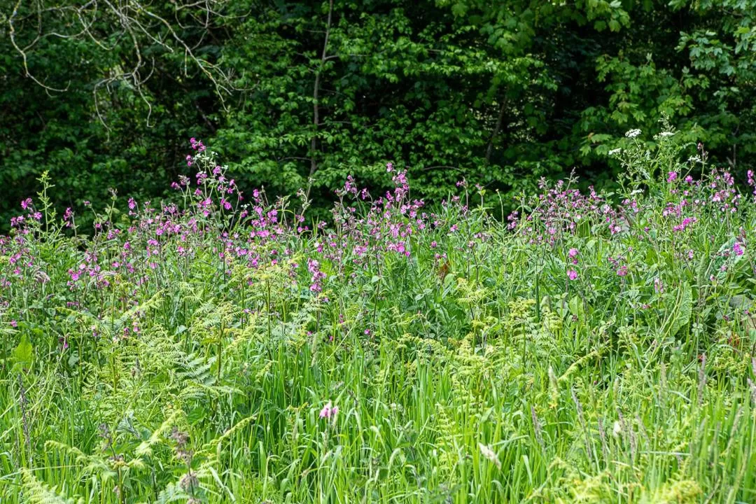 Property building in The Three Tuns