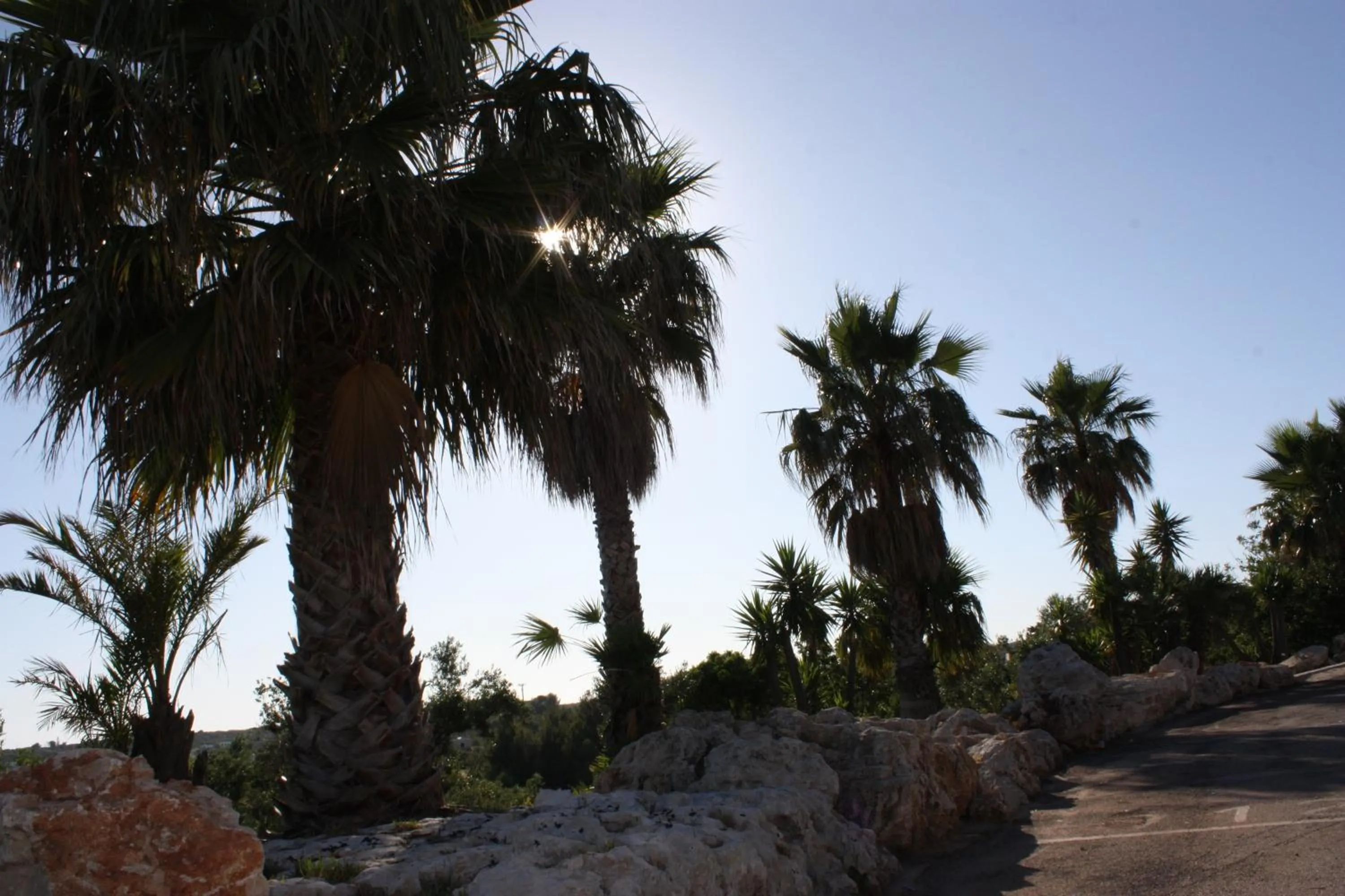 Natural landscape in Messapia Hotel 2