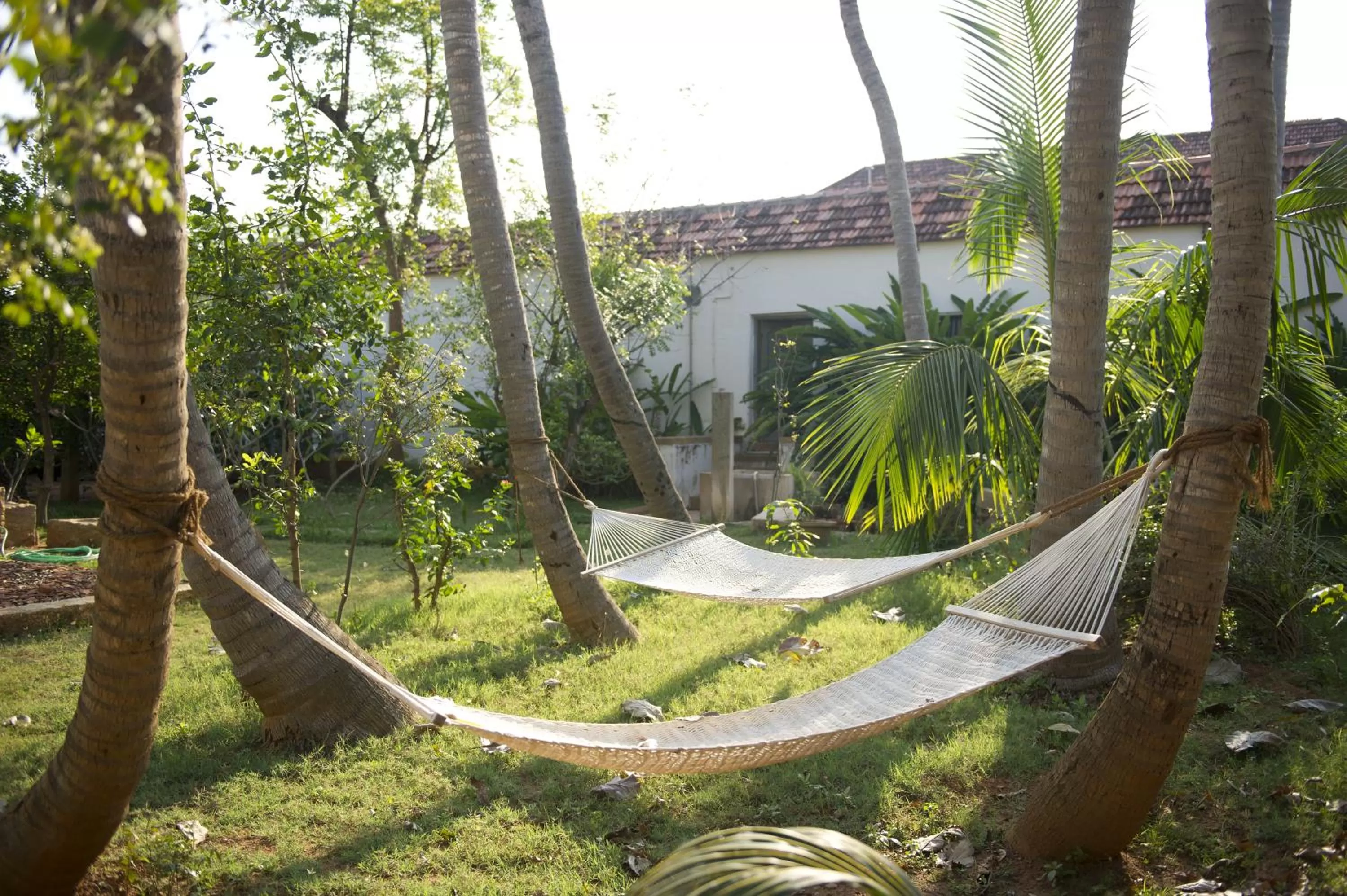 Day in Saratha Vilas Chettinad