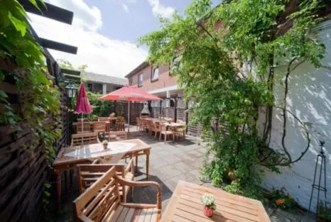 Balcony/Terrace in Hotel Cafe Frida