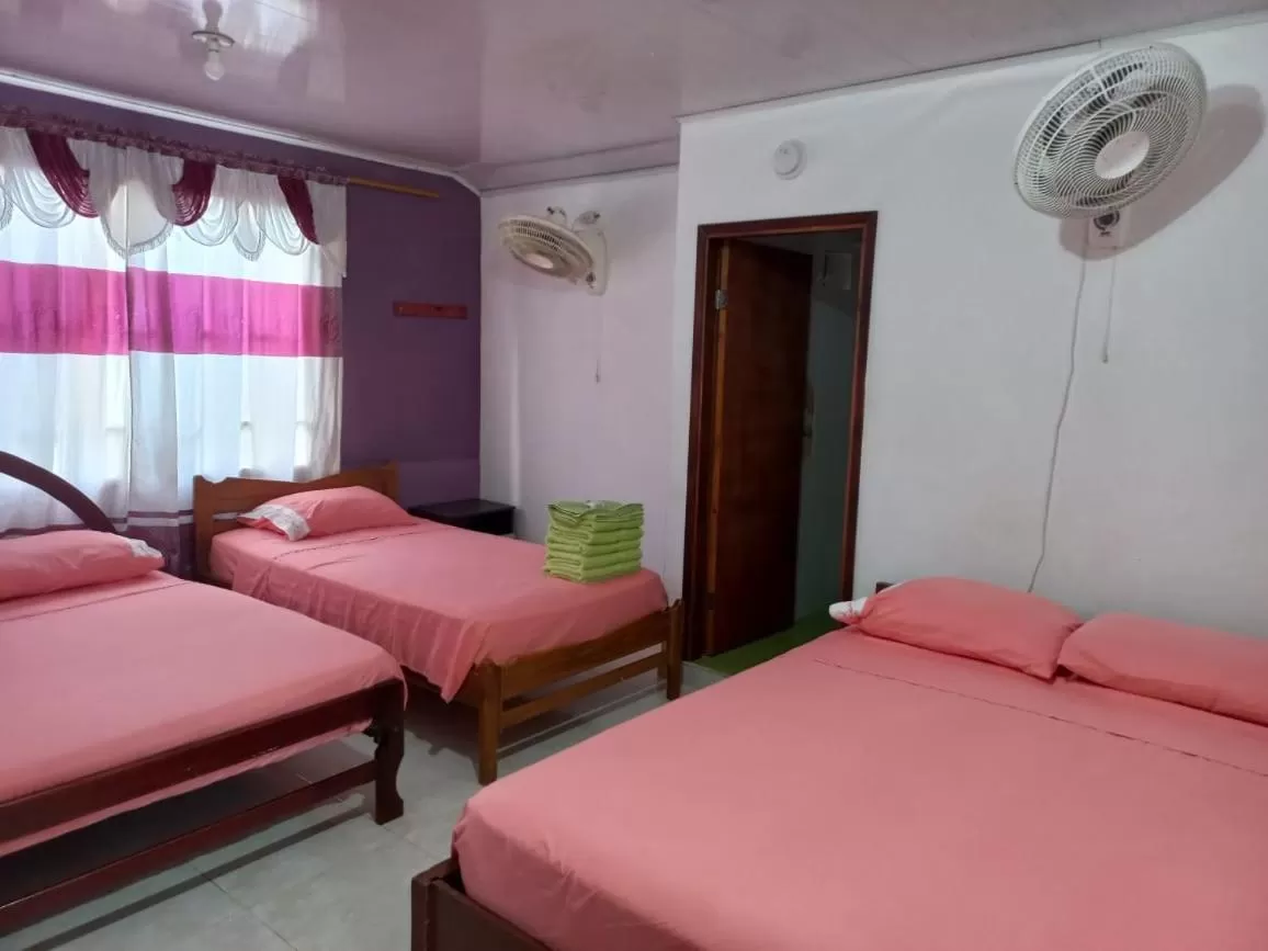 Bed in Posada Sorybego