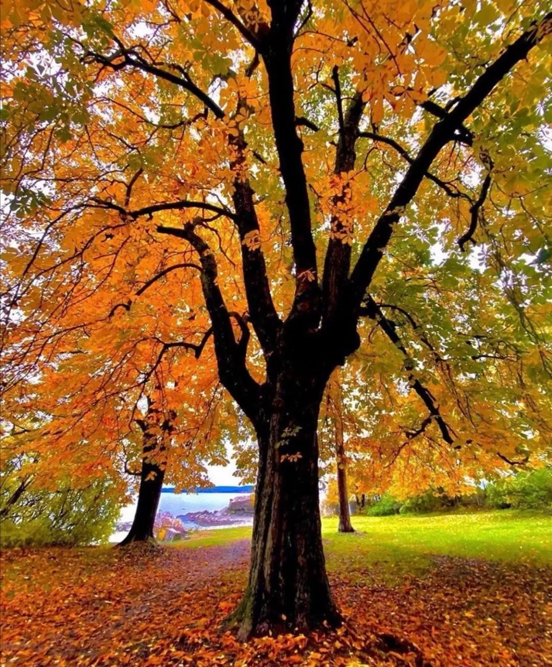 Nearby landmark in First Hotel Millennium