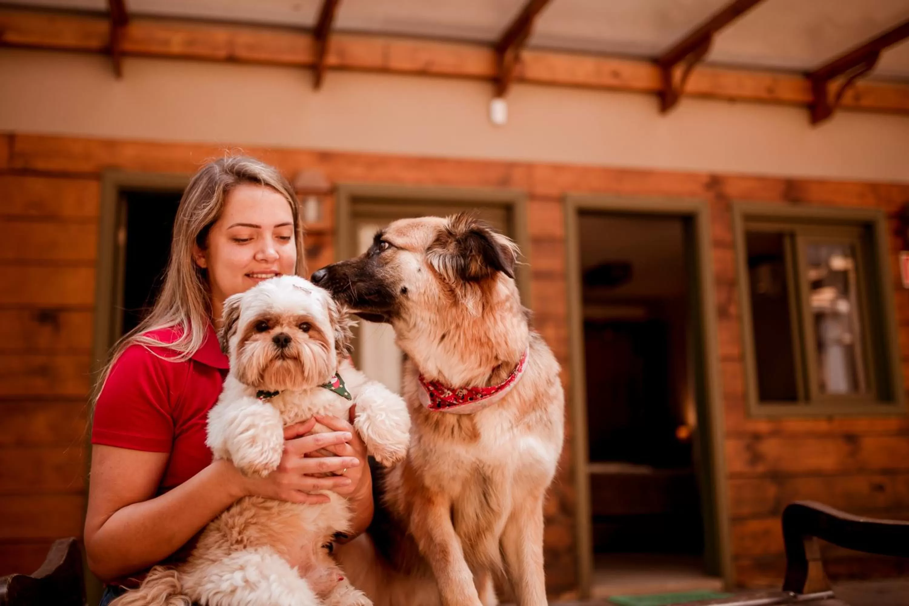 Pets in Pousada Charm Canela