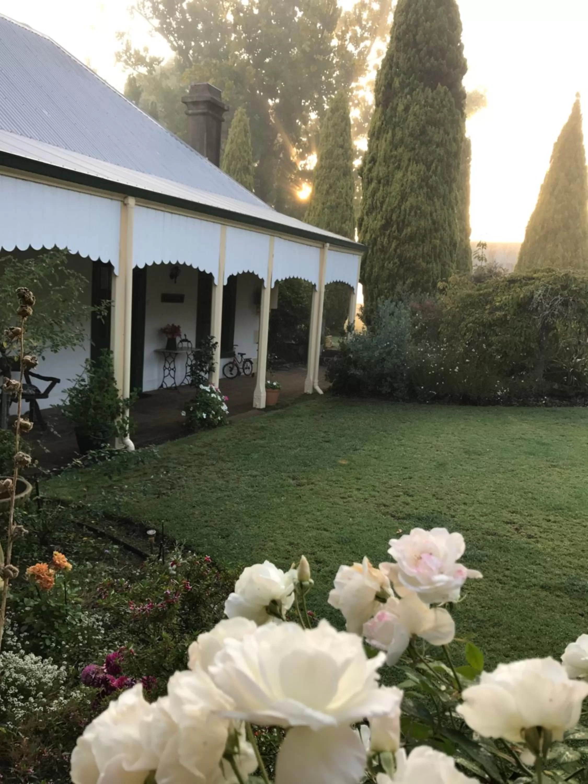 Garden in Dingup House