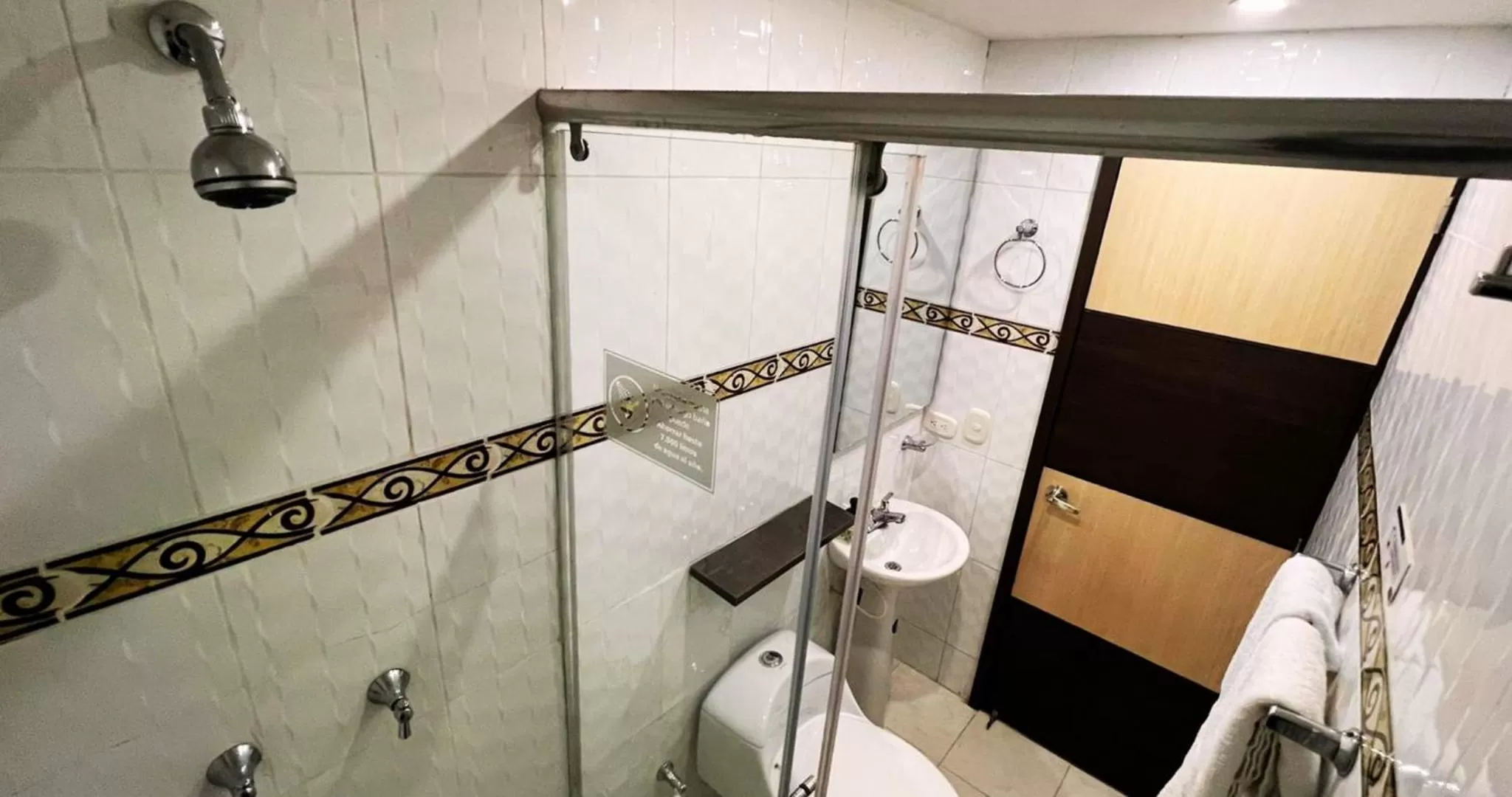 Shower in Hotel Expo Hotel Ferial