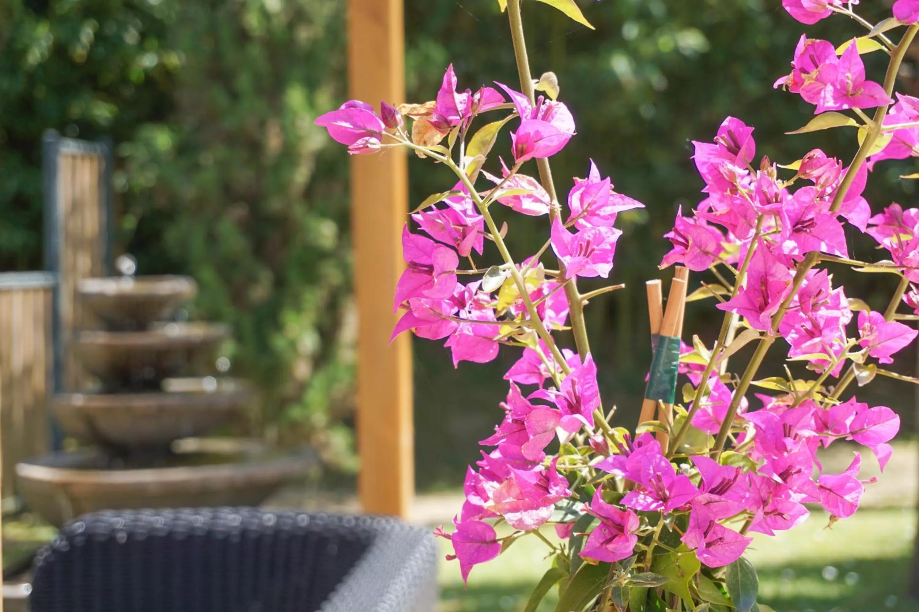 Garden in The Originals City, Hôtel Le Lodge, Ondres, Bayonne Nord