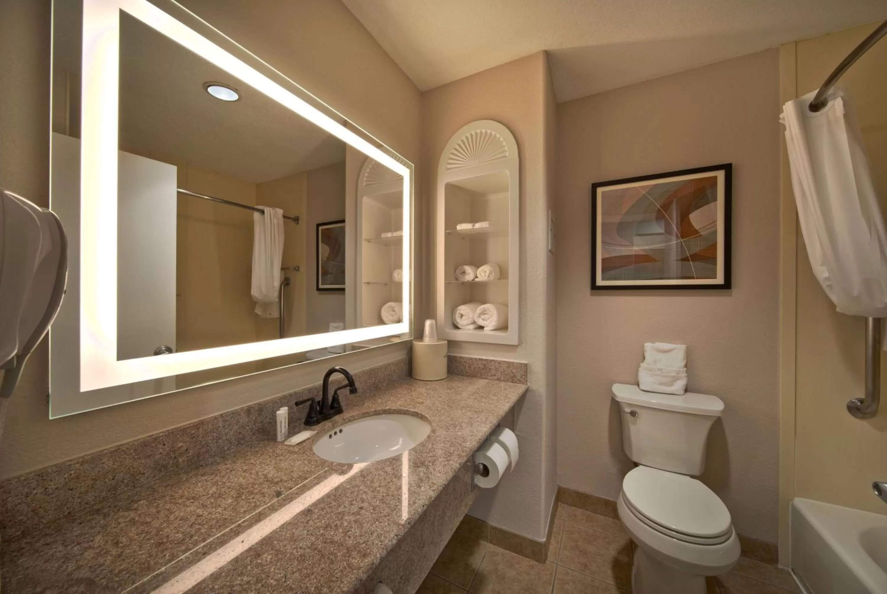 TV and multimedia in Wingate by Wyndham Houston Bush Intercontinental Airport