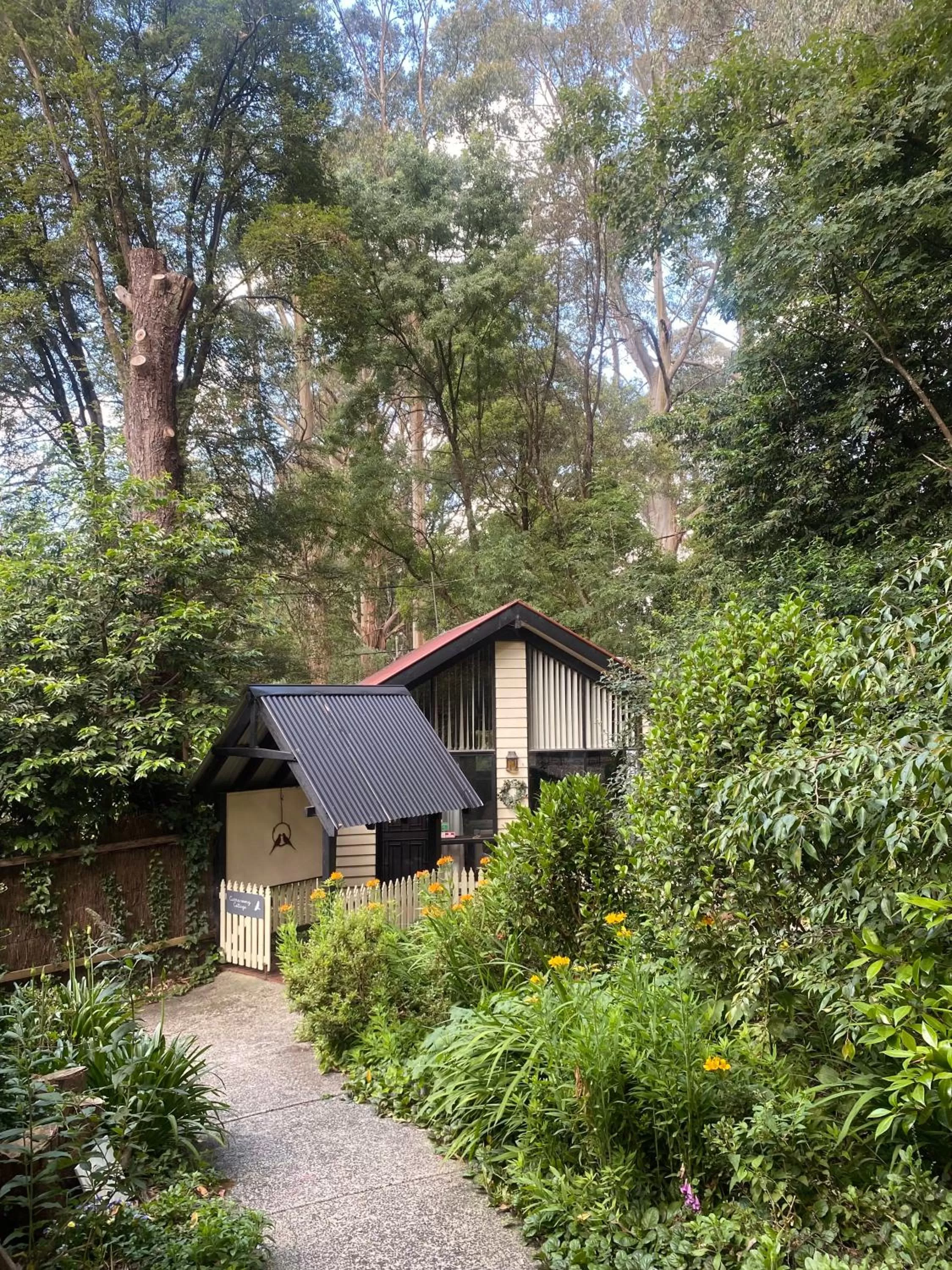 Garden in Cambridge Cottages