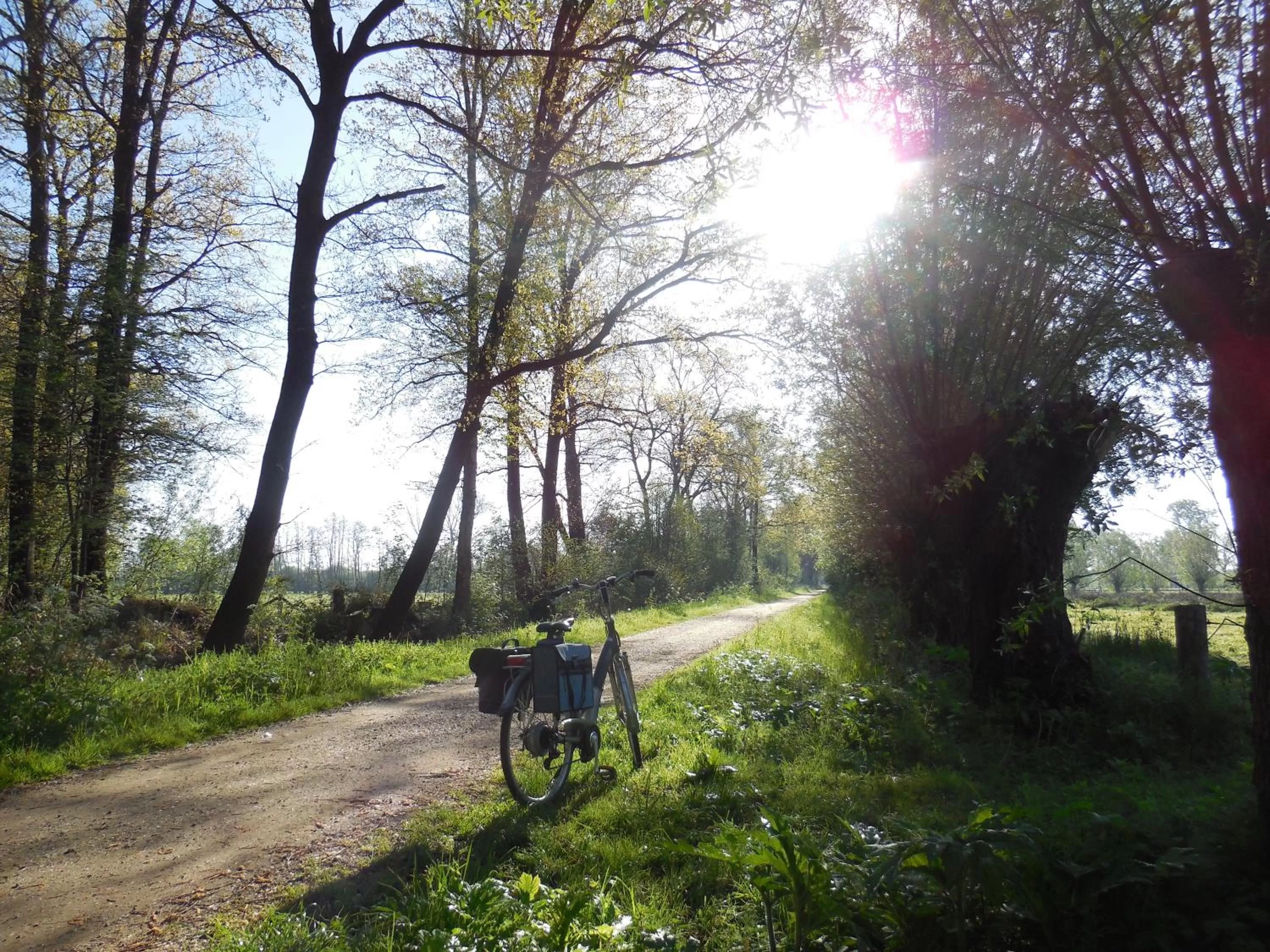 B & B " De 7 Sprong "