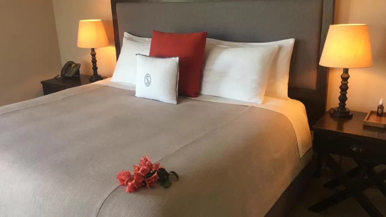 Bed in Viñedos San Lucas