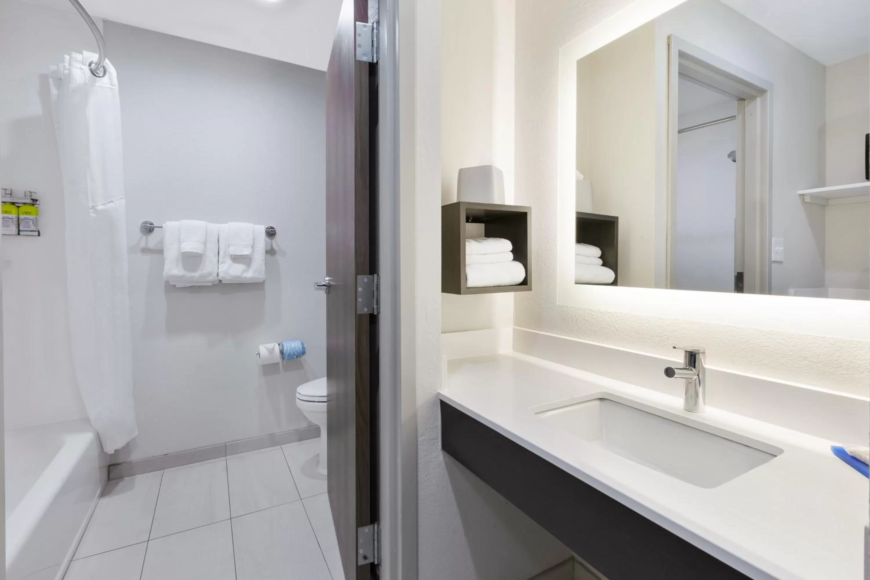 Bathroom in Holiday Inn Express Detroit-Warren/General Motors Technology Center by IHG