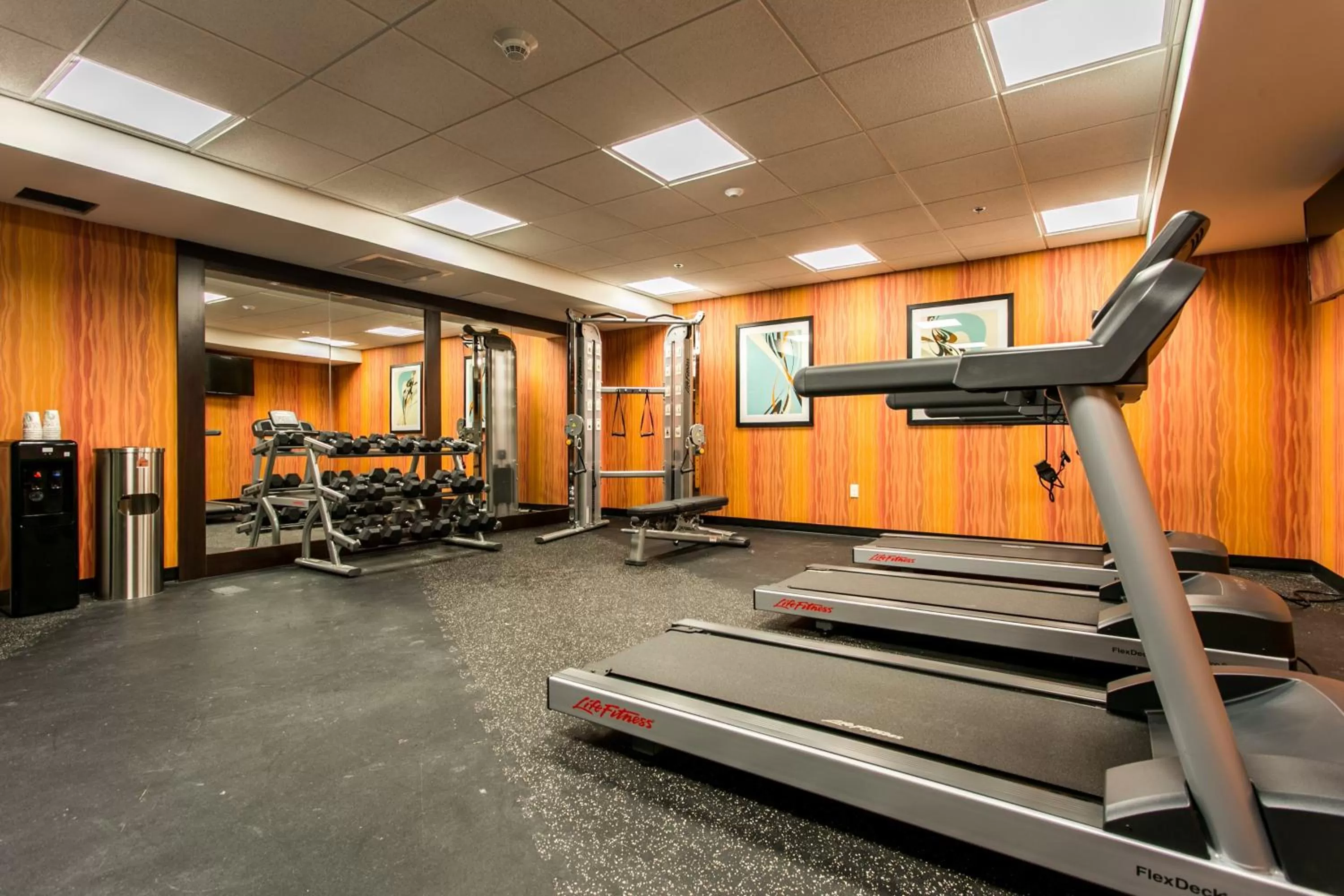 Fitness centre/facilities in Holiday Inn Hotel & Suites Chattanooga by IHG