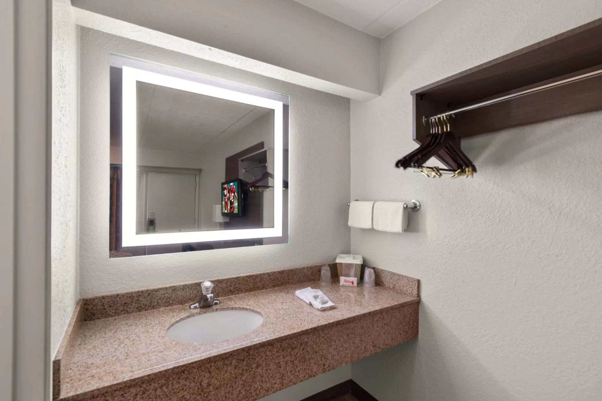 Bathroom in Red Roof Inn Binghamton - Johnson City