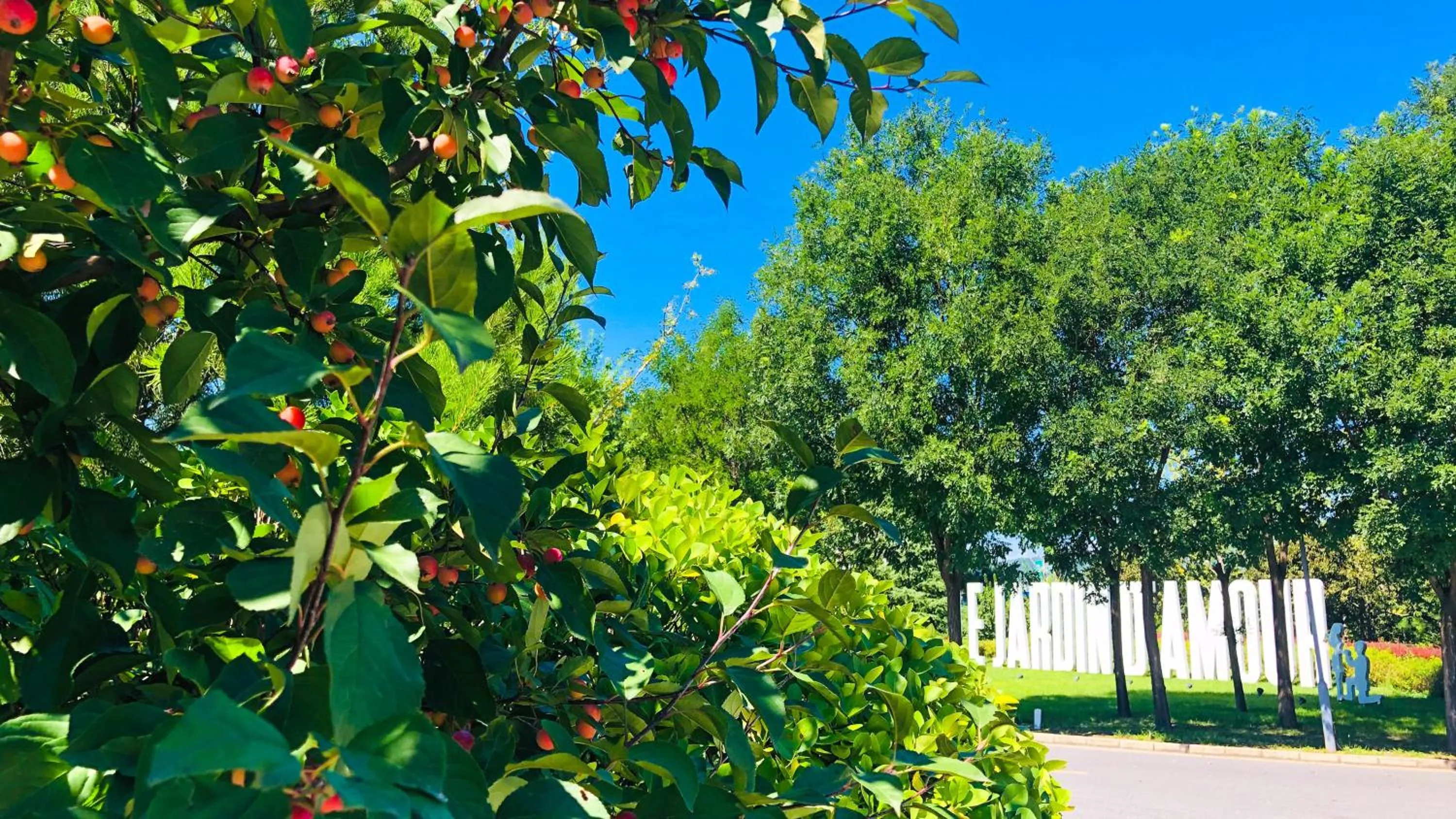 Other in Holiday Inn Beijing Shijingshan Parkview by IHG