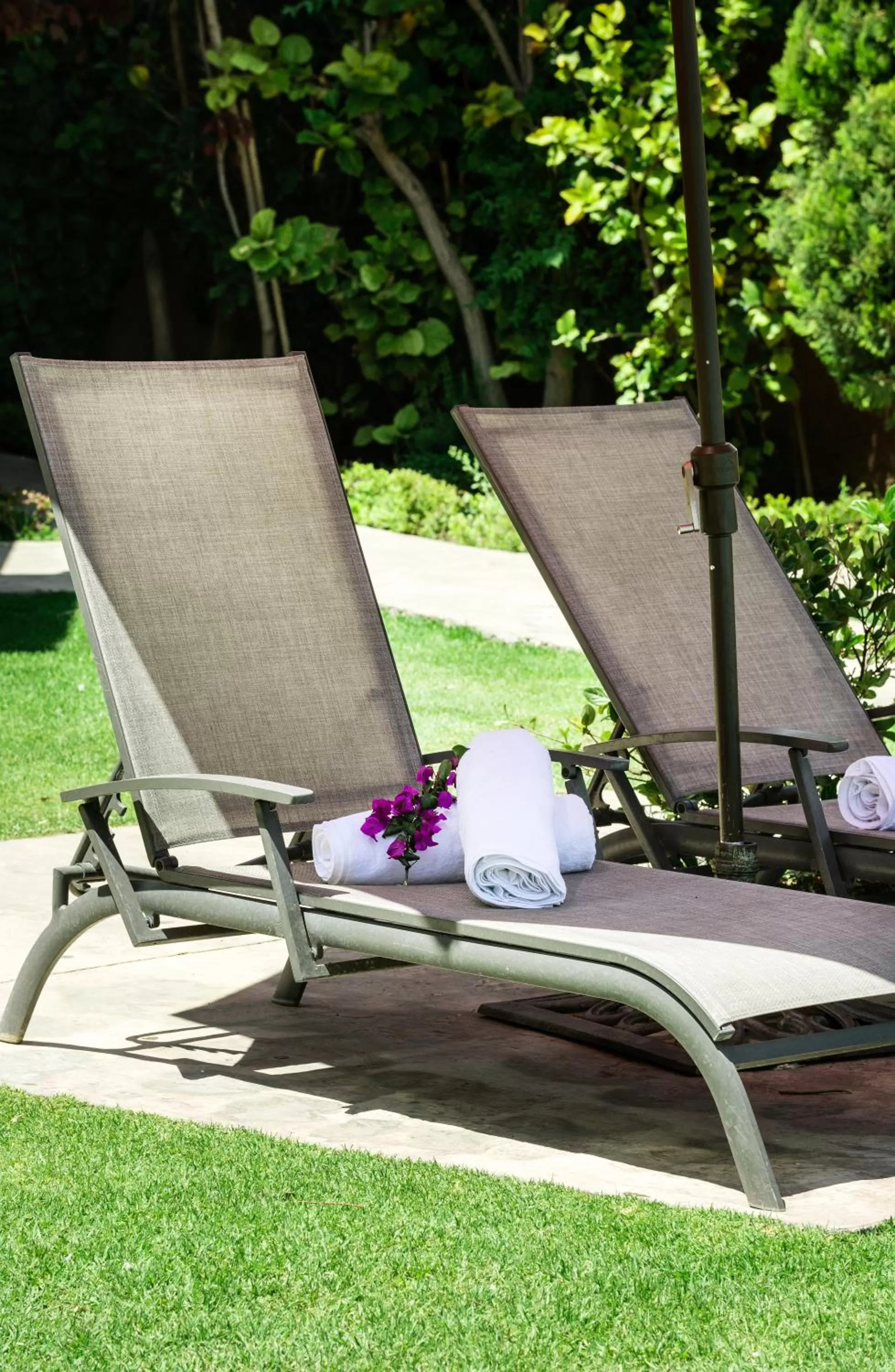 Hotel San Francisco Leon