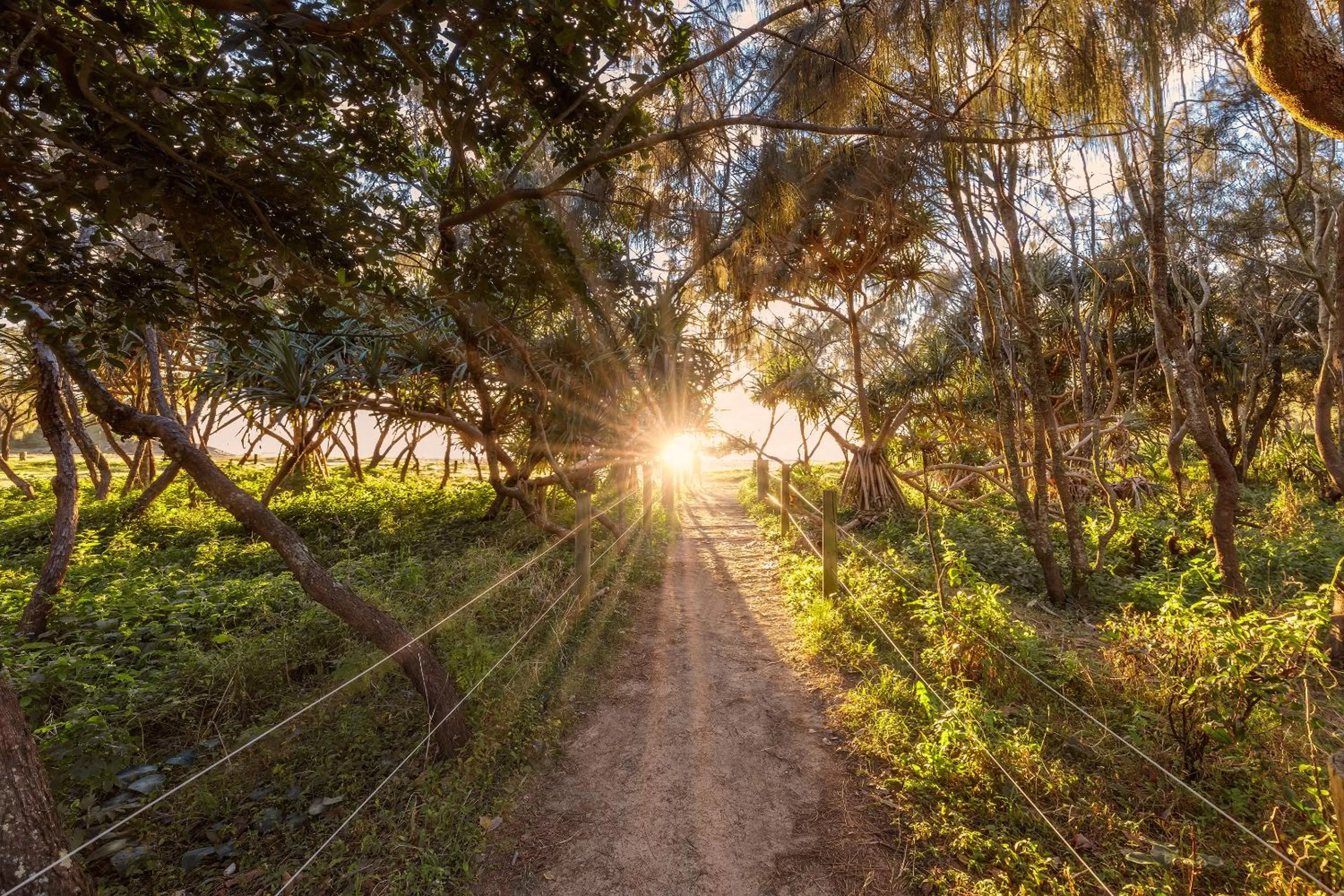 Beach in Club Wyndham Coffs Harbour, Trademark Collection by Wyndham