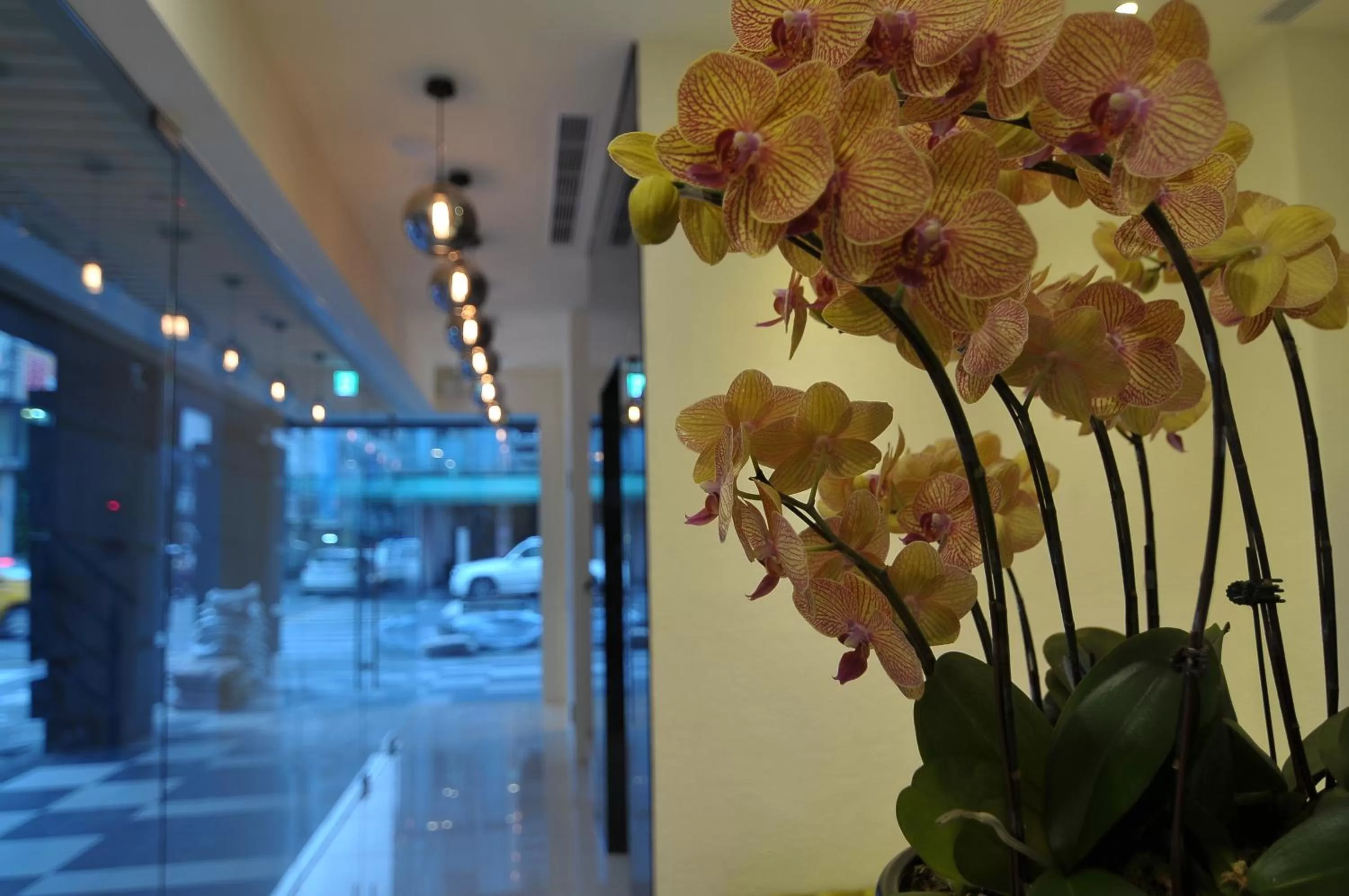 Decorative detail in Century Hotel