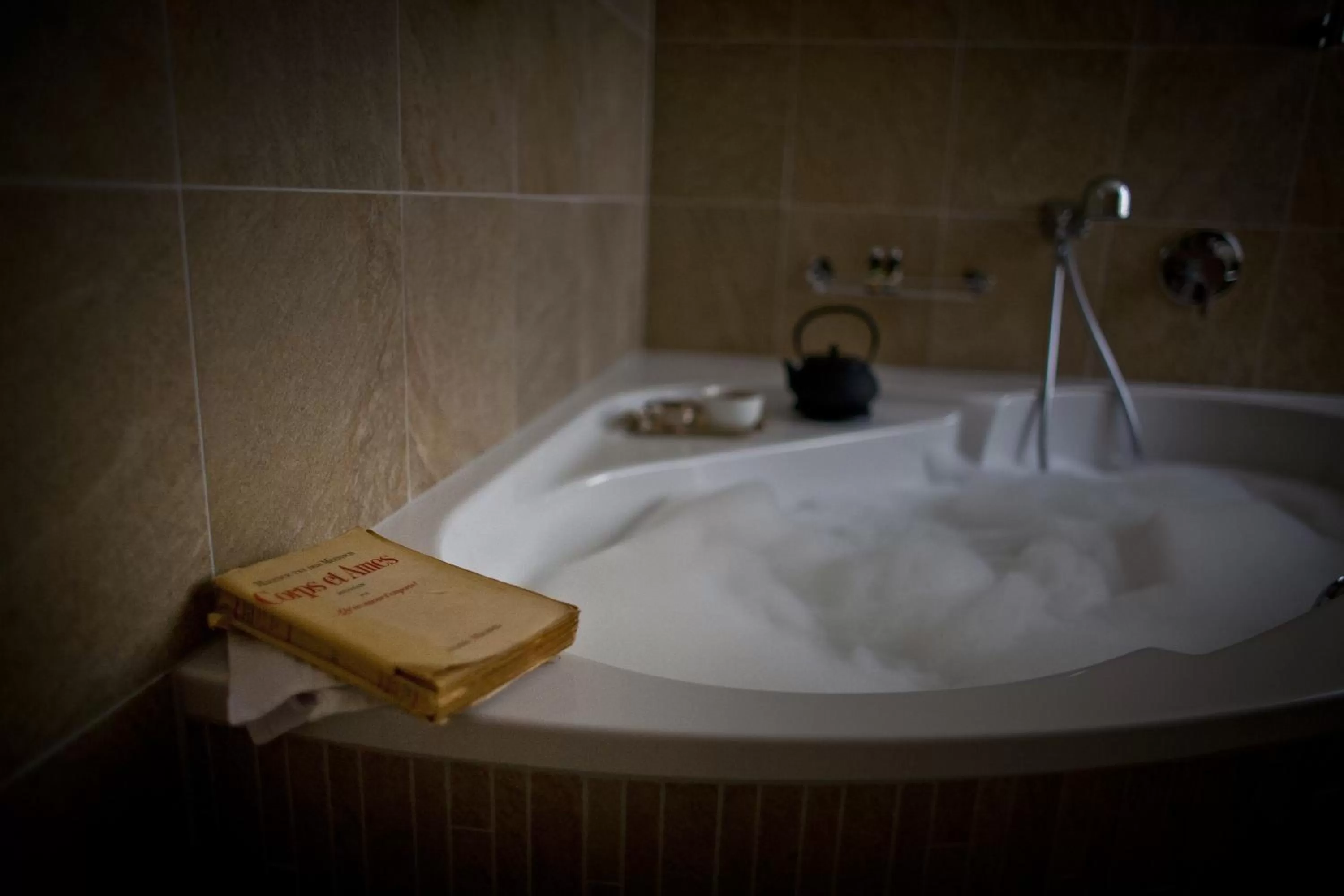 Bathroom in Auberge du Raisin