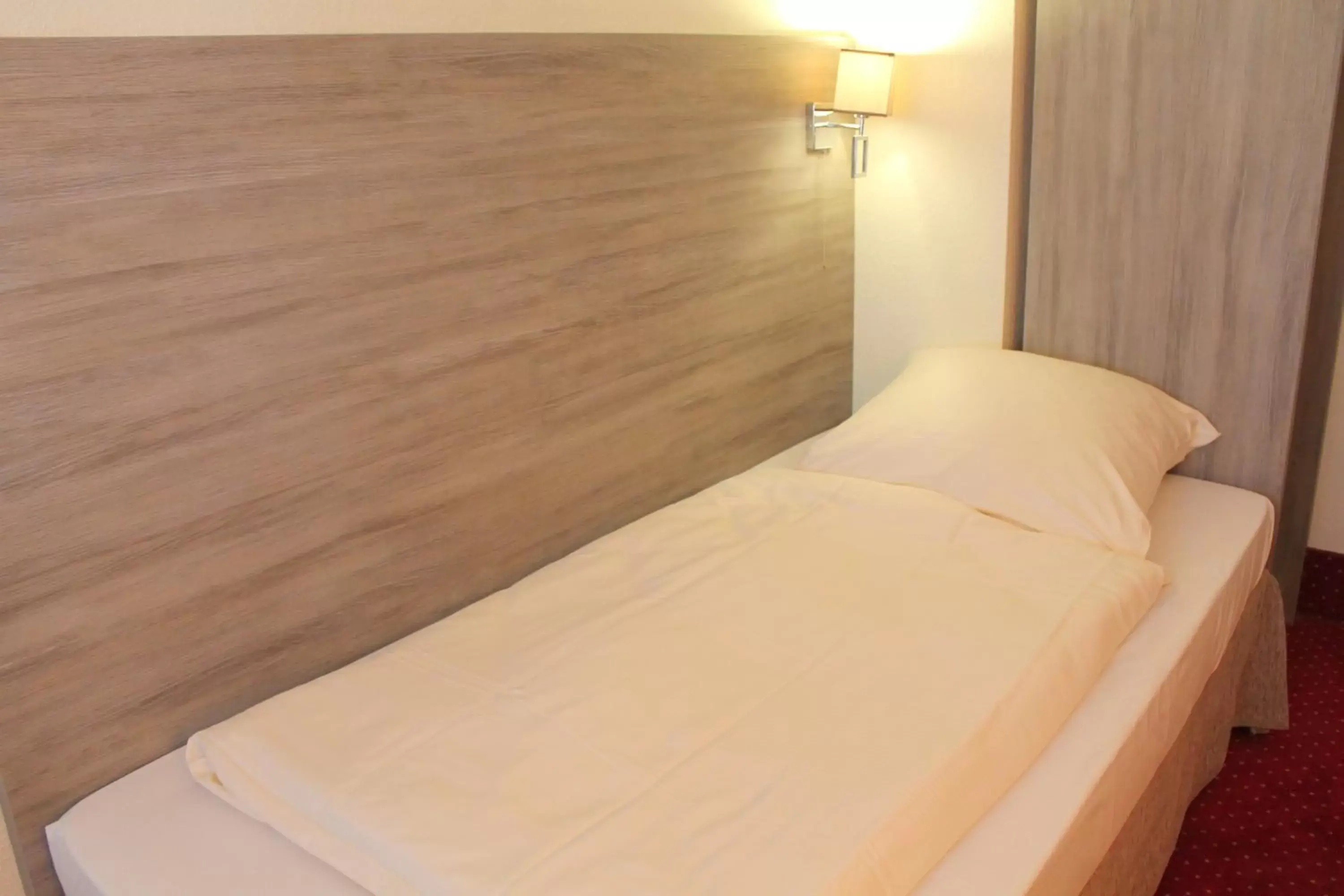 Standard Single Room with Shower in Hotel Lorien Standard Single Room with Shower in Hotel Lorien
