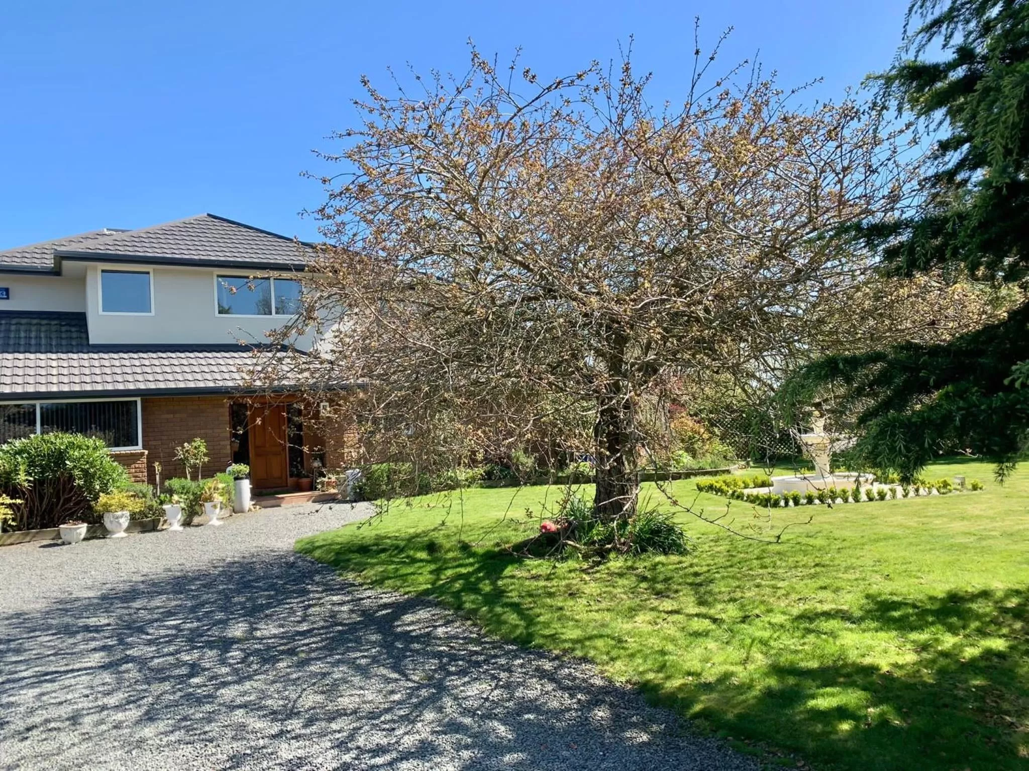 Spring in Newlands Bed and Breakfast