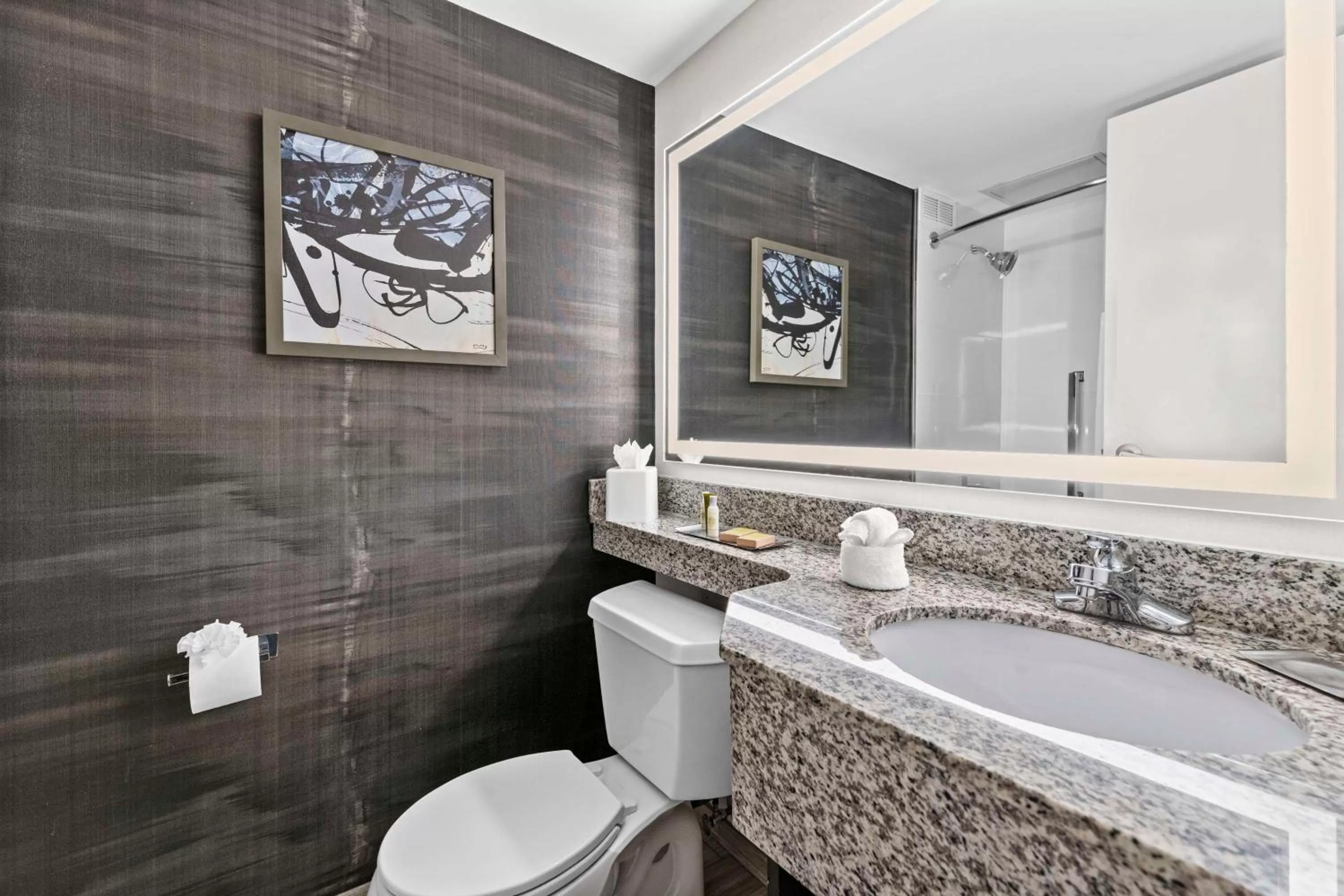 Bathroom in DoubleTree by Hilton Raleigh Midtown, NC