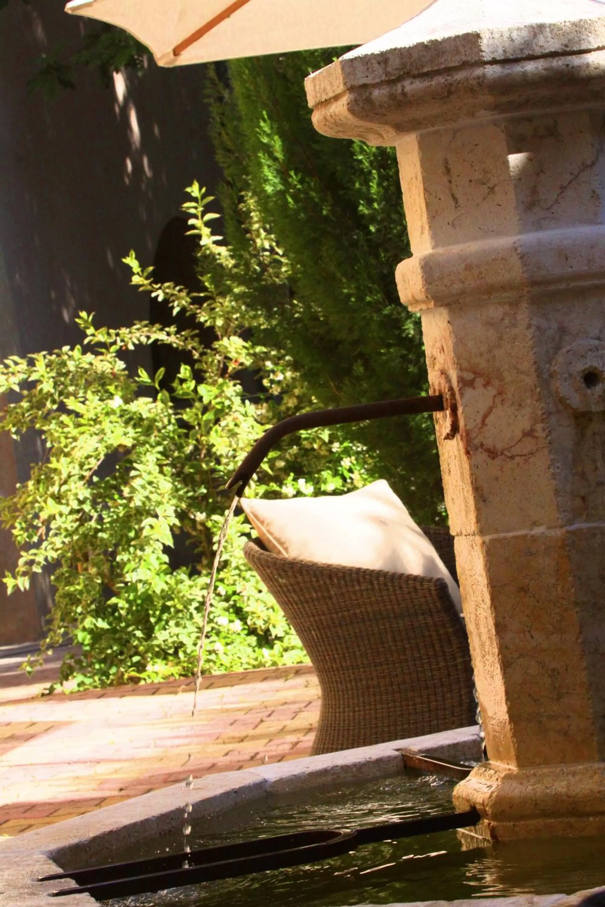 Day in Le Mas de l'Espérance - Chambres d'hôtes de Prestige