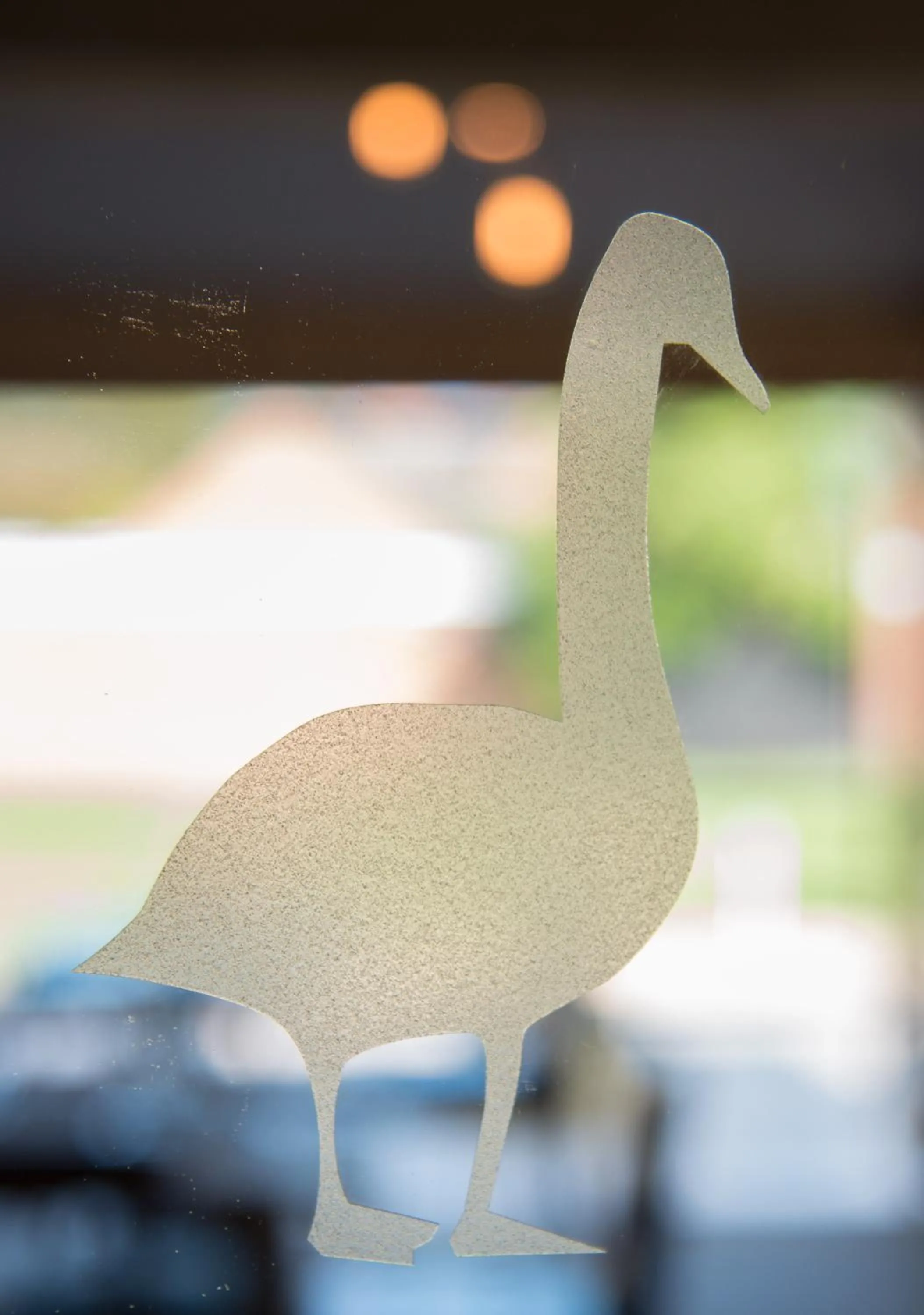 Other in The Swan Inn