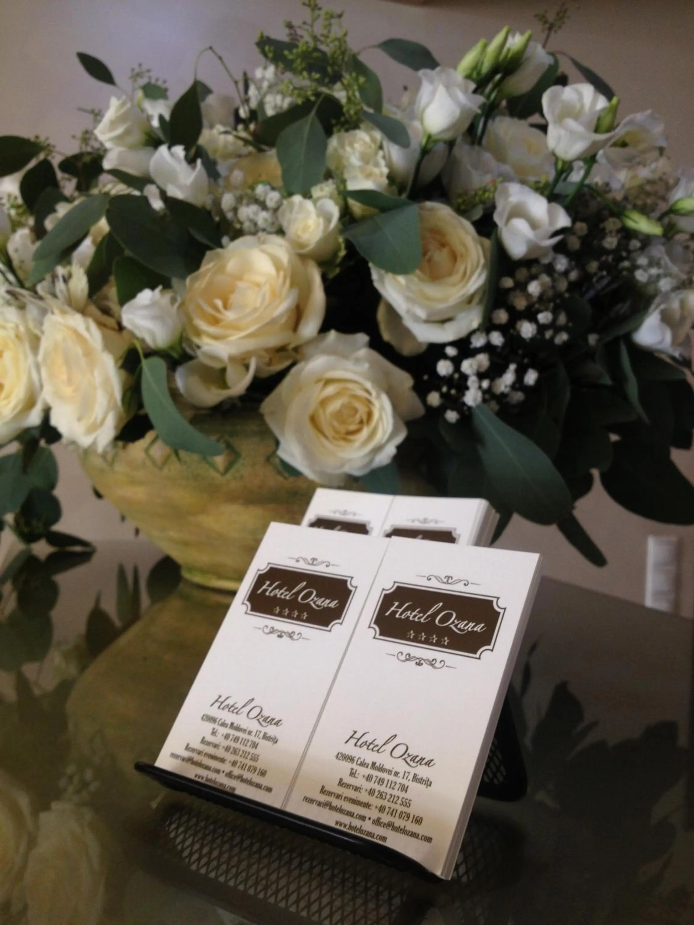 Property logo or sign in Hotel Ozana