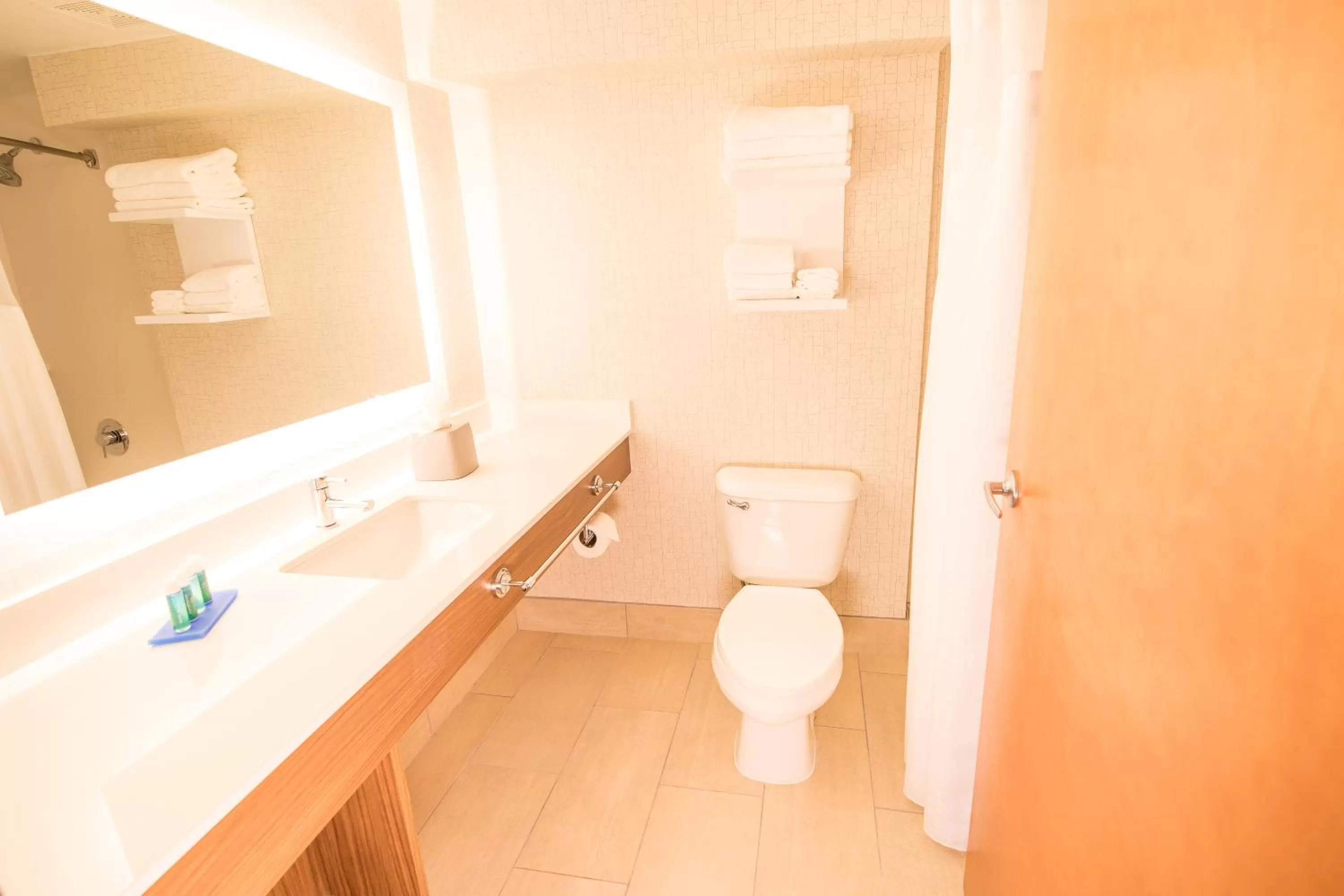 Bathroom in Holiday Inn Express Atlanta-Stone Mountain by IHG