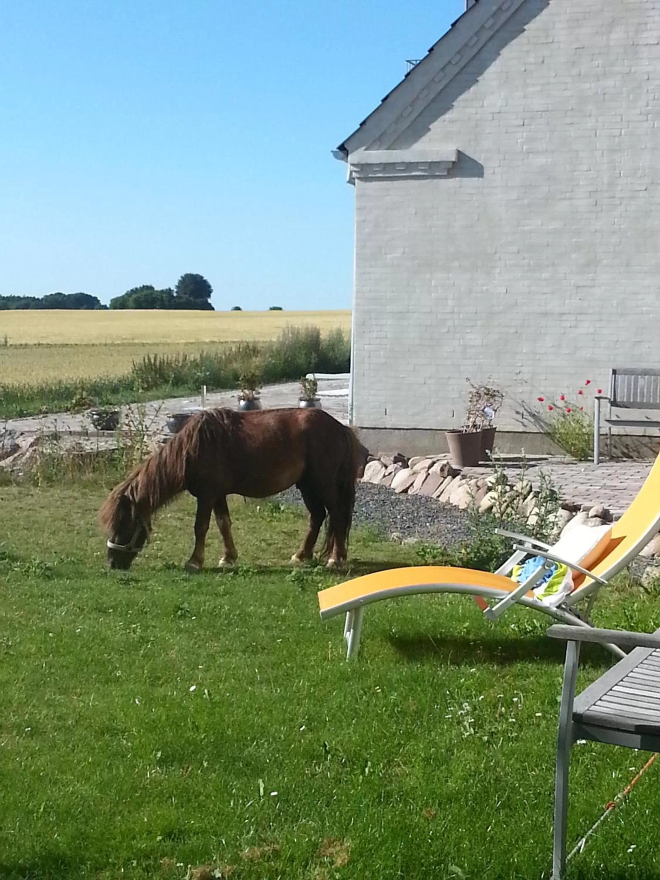 Area and facilities in Roskilde B&B