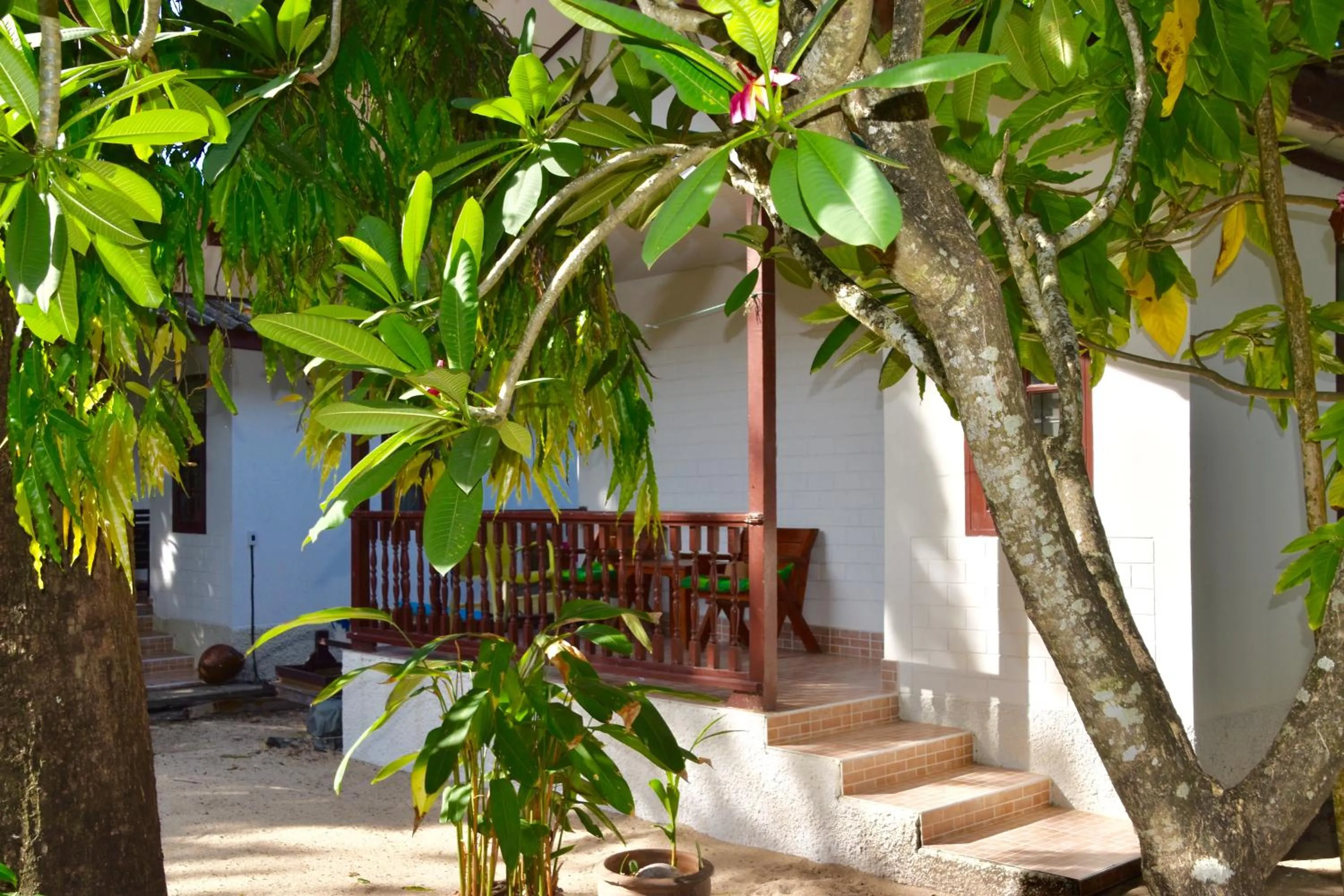 Garden in Magic Resort