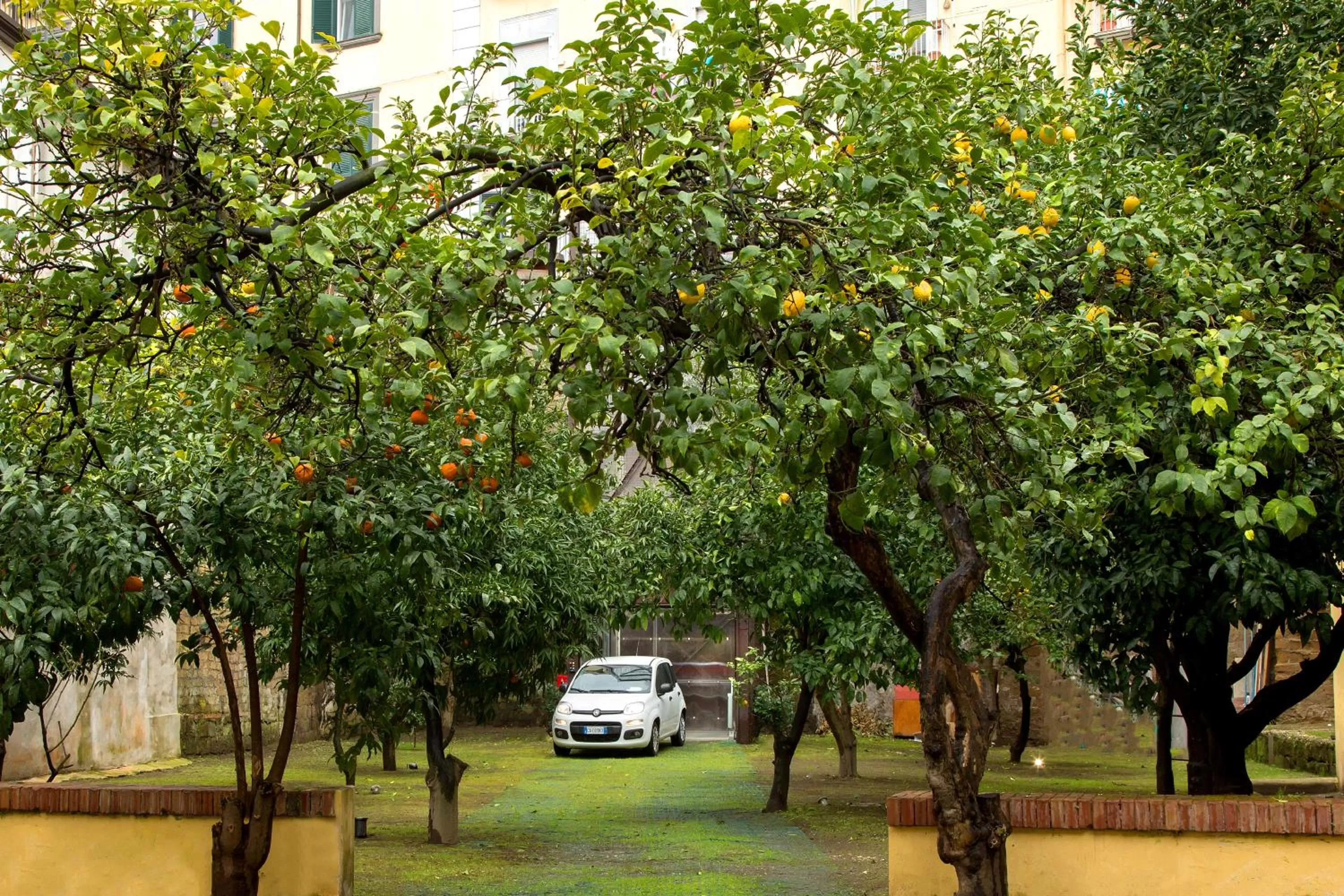 Garden in Palazzo Sant'Antonio