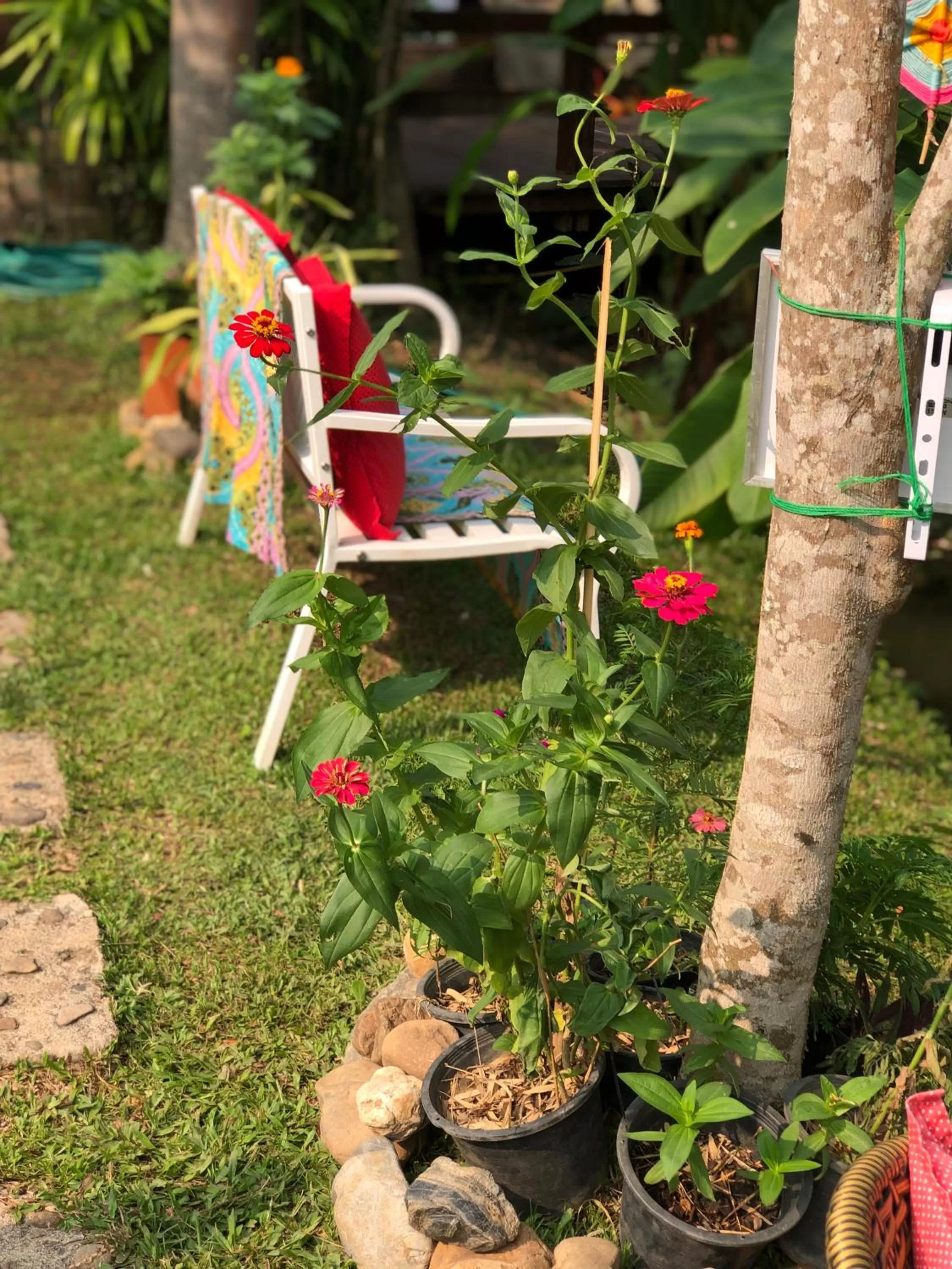 Seating area in Pura Vida Pai Resort