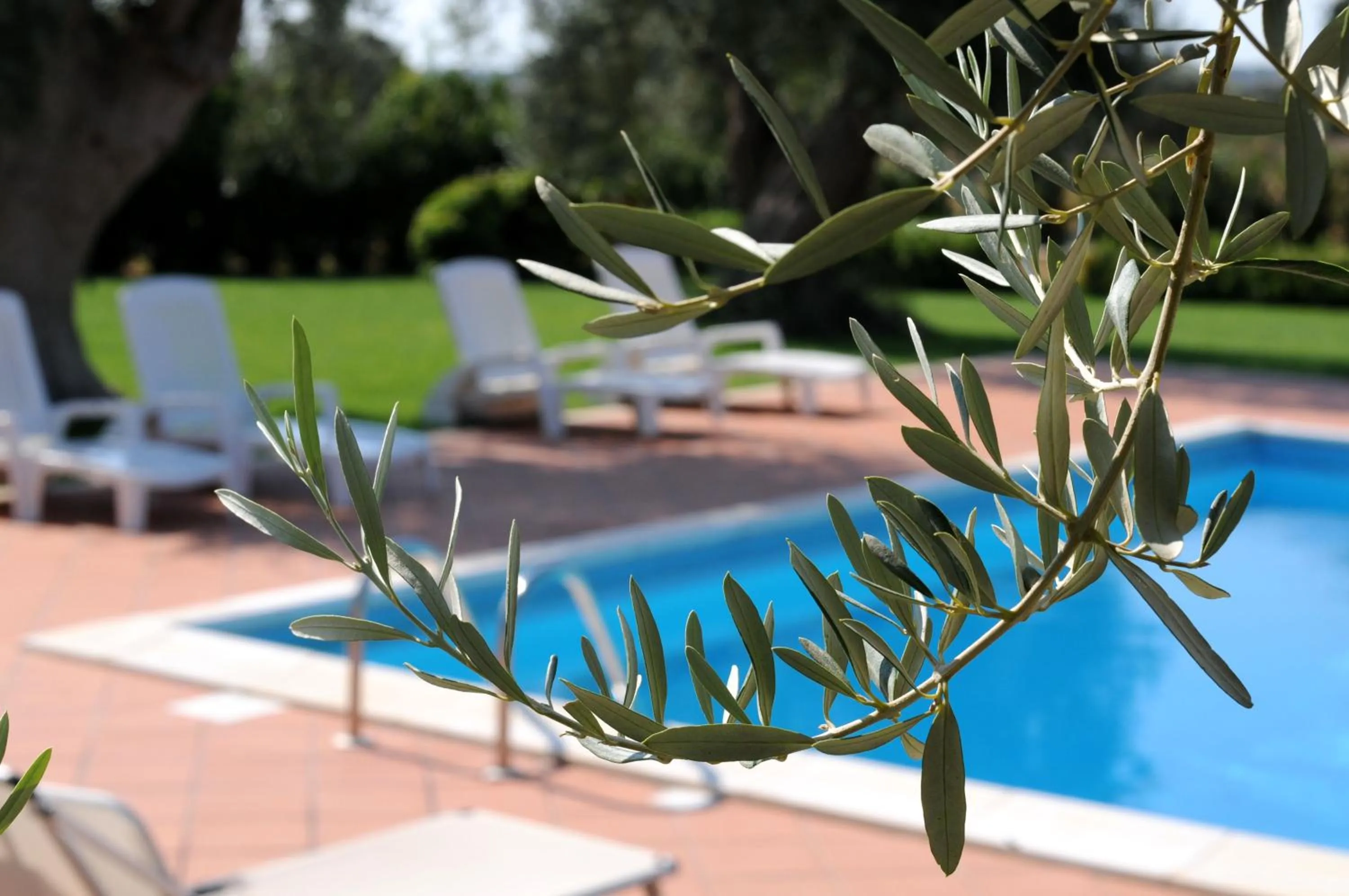 Garden in Torre Don Virgilio Country Hotel